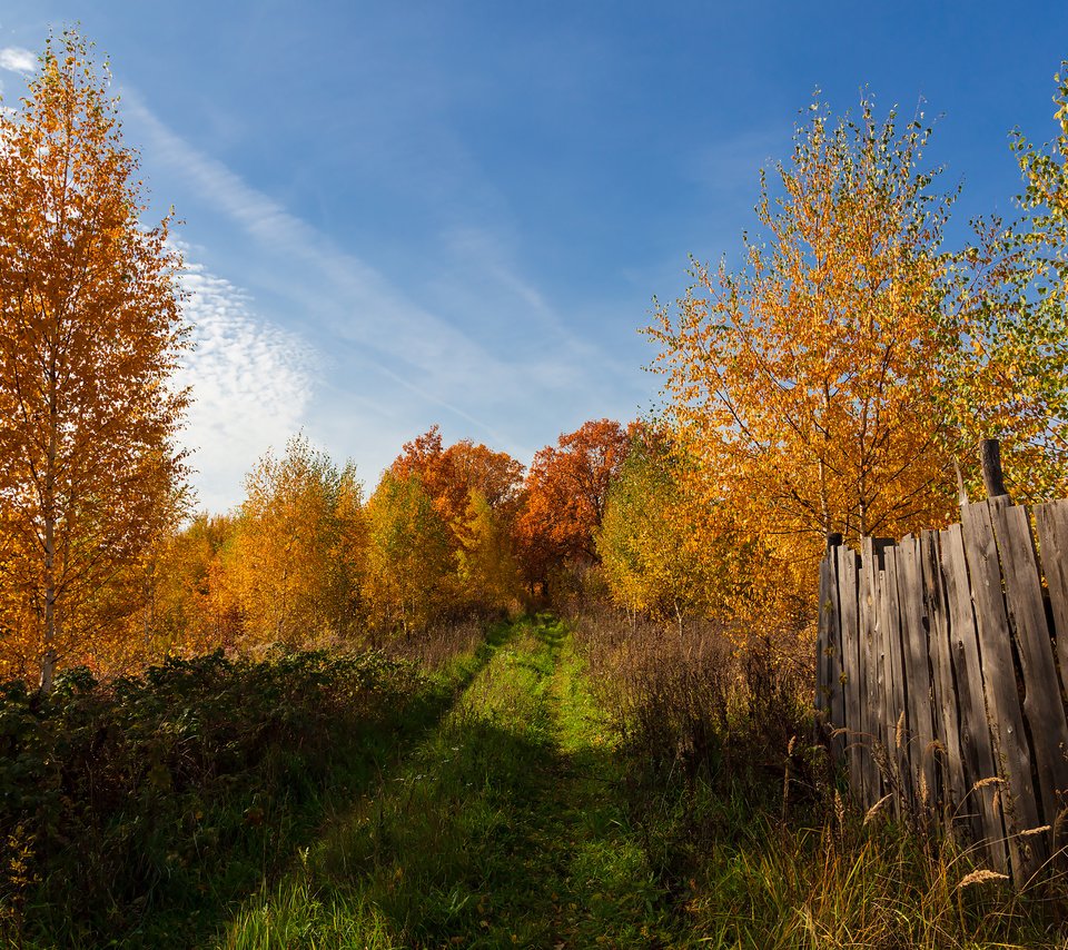 Обои деревья, пейзаж, осень, забор, trees, landscape, autumn, the fence разрешение 2304x1536 Загрузить