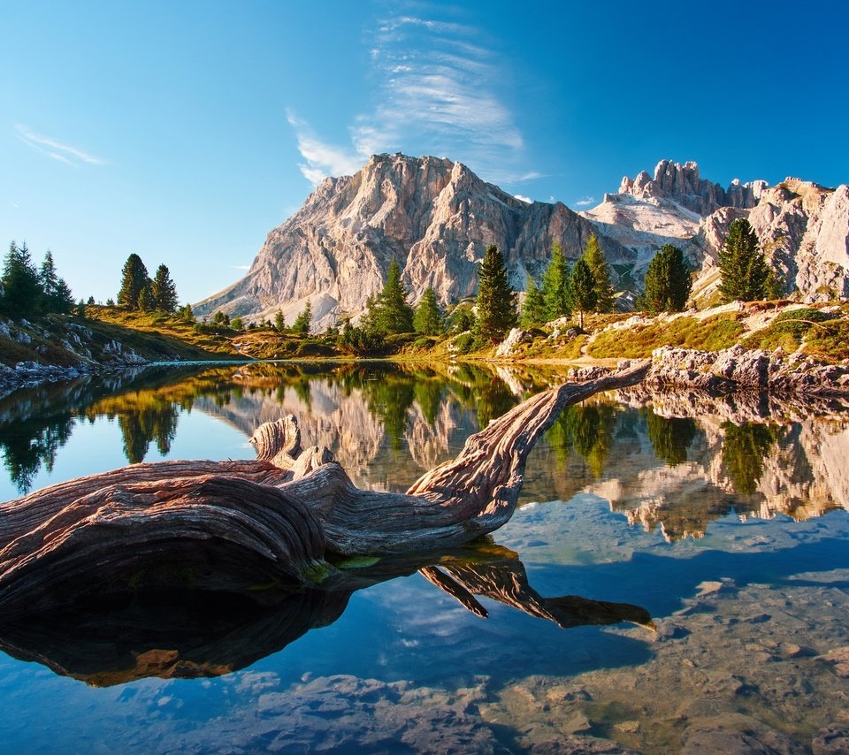 Обои озеро, горы, отражение, коряга, lake, mountains, reflection, snag разрешение 2048x1152 Загрузить