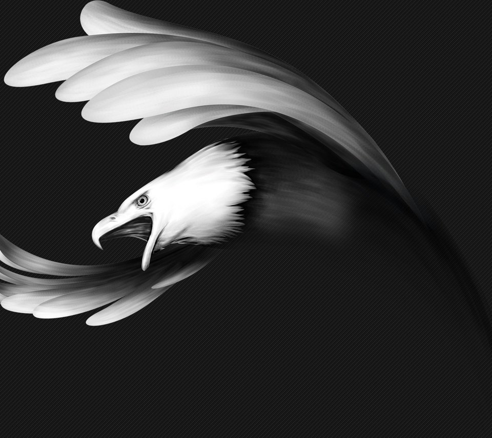 Обои рисунок, полет, чёрно-белое, крылья, орел, птица, клюв, figure, flight, black and white, wings, eagle, bird, beak разрешение 1920x1080 Загрузить
