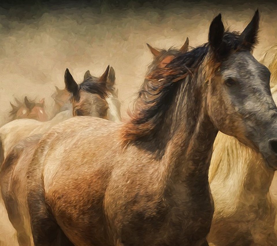 Обои лошади, кони, пыль, бег, табун, horse, horses, dust, running, the herd разрешение 1920x1080 Загрузить