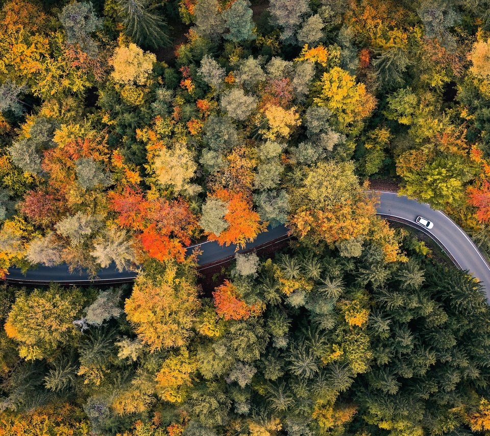 Обои дорога, лес, осень, road, forest, autumn разрешение 2048x1365 Загрузить