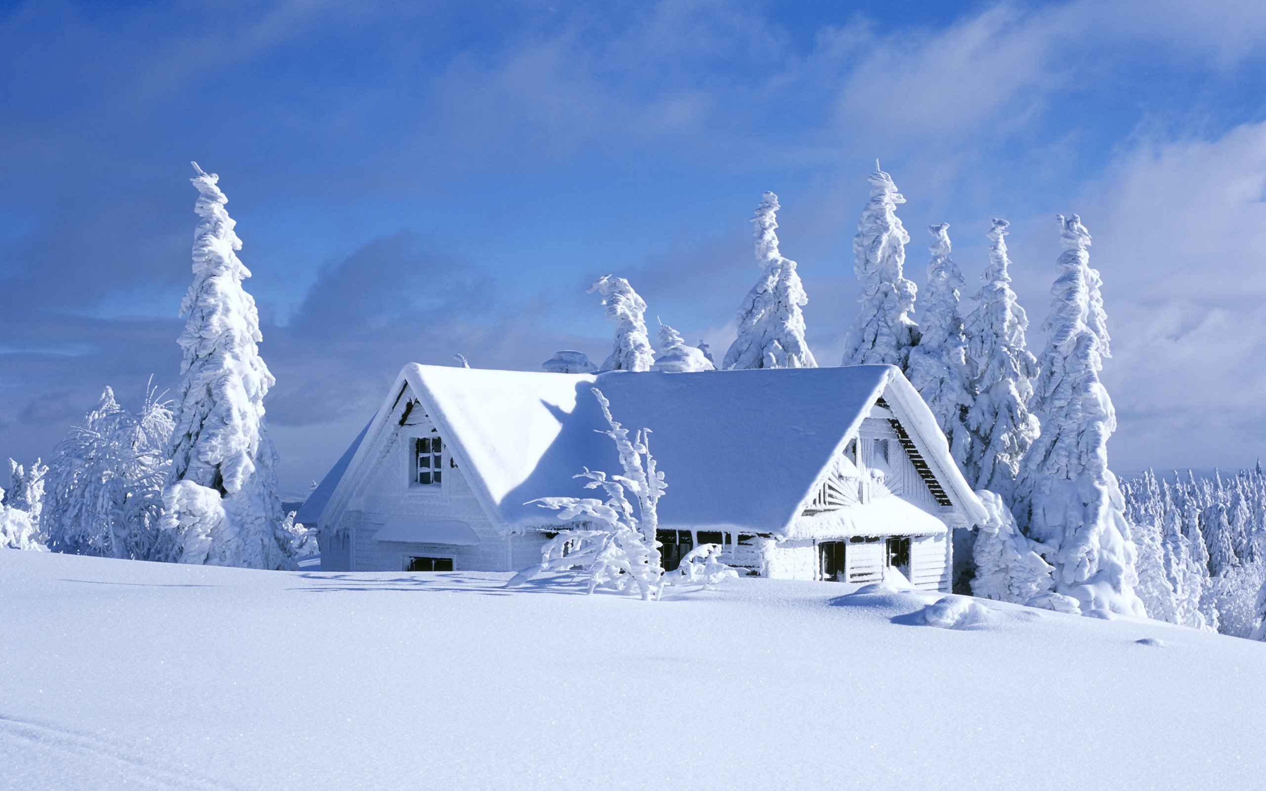 Обои небо, снег, домик, ели, the sky, snow, house, ate разрешение 2560x1600 Загрузить