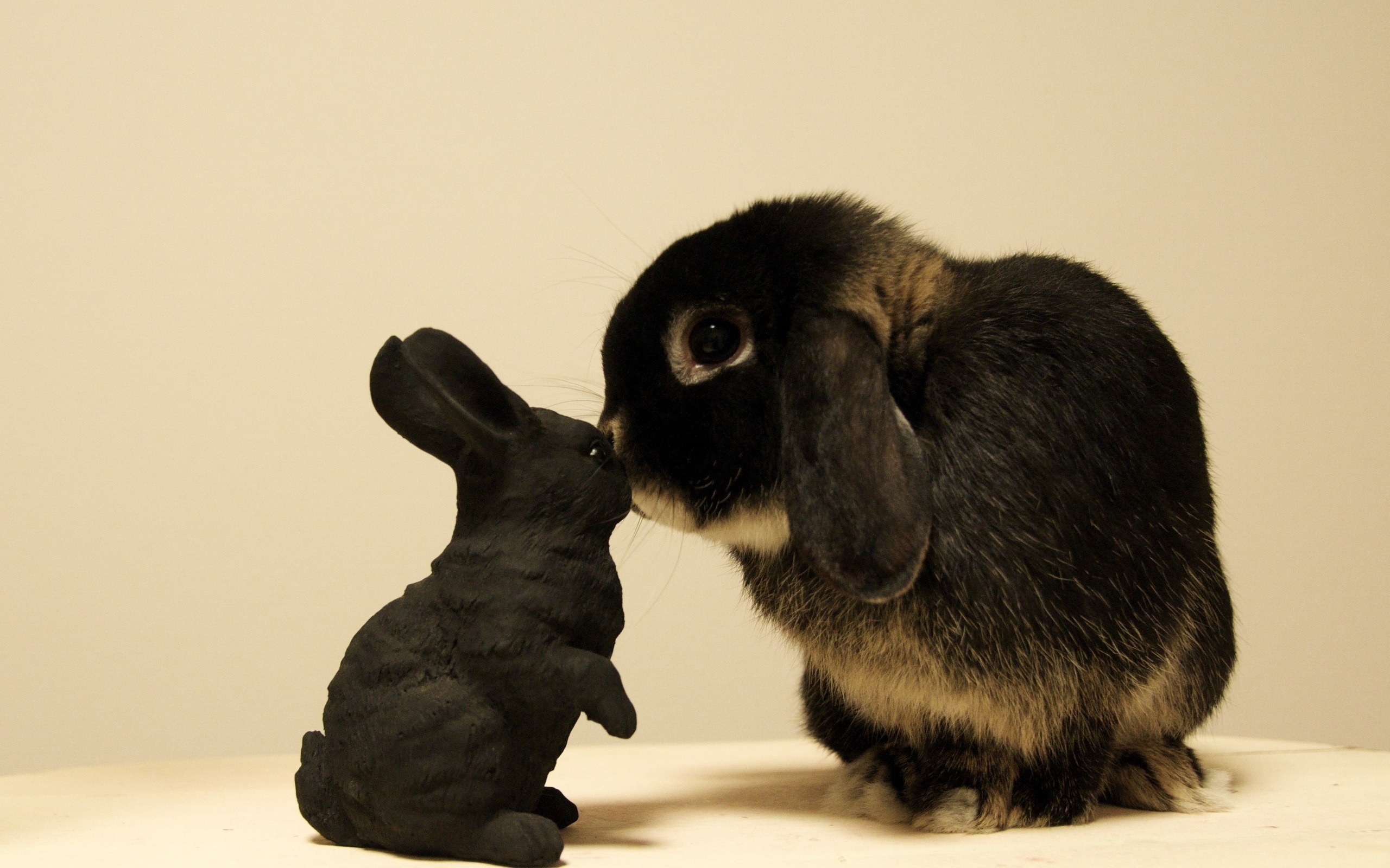 Обои игрушка, кролик, зайчик, toy, rabbit, bunny разрешение 2560x1600 Загрузить