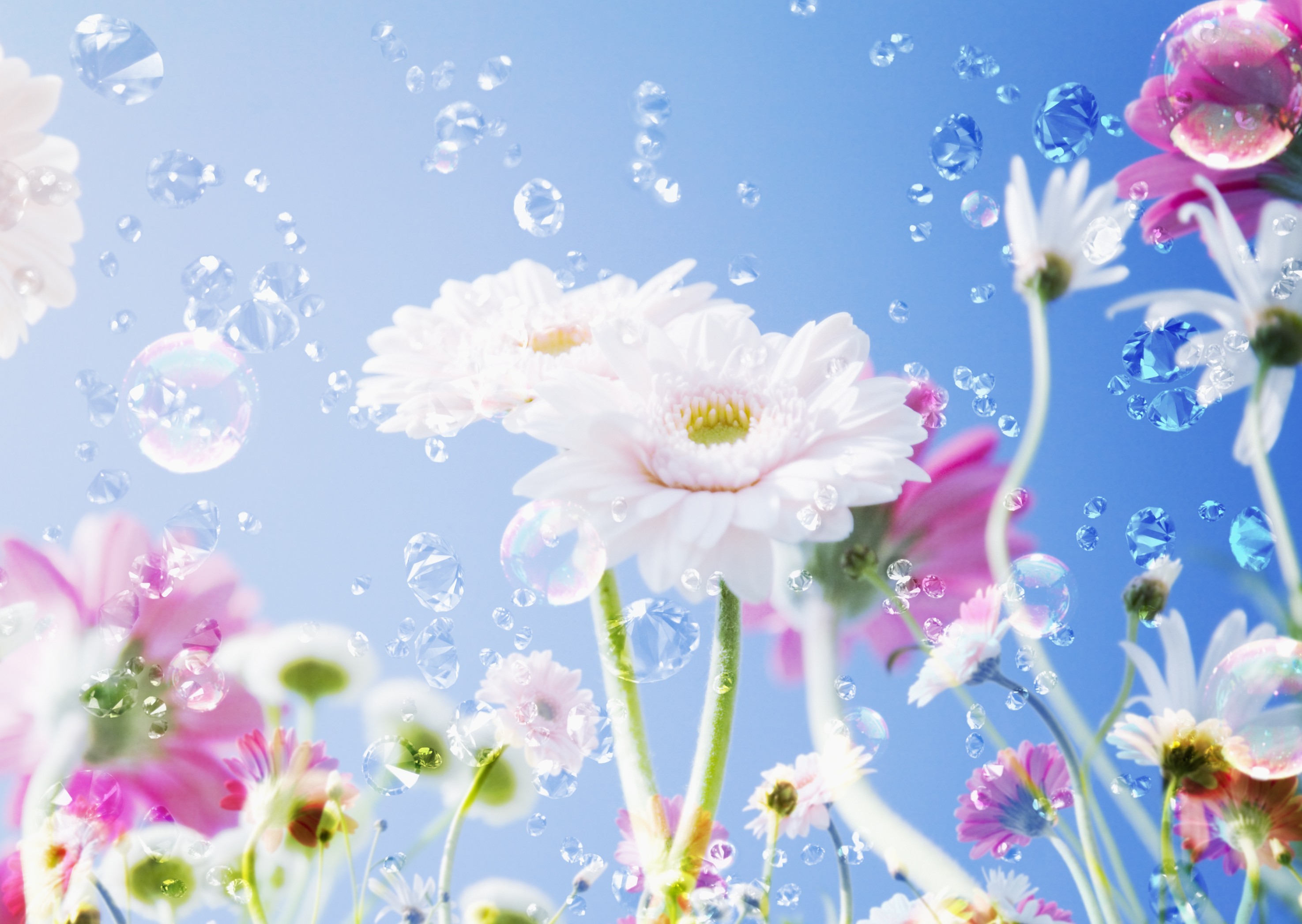 Обои небо, цветы, капли, the sky, flowers, drops разрешение 2950x2094 Загрузить