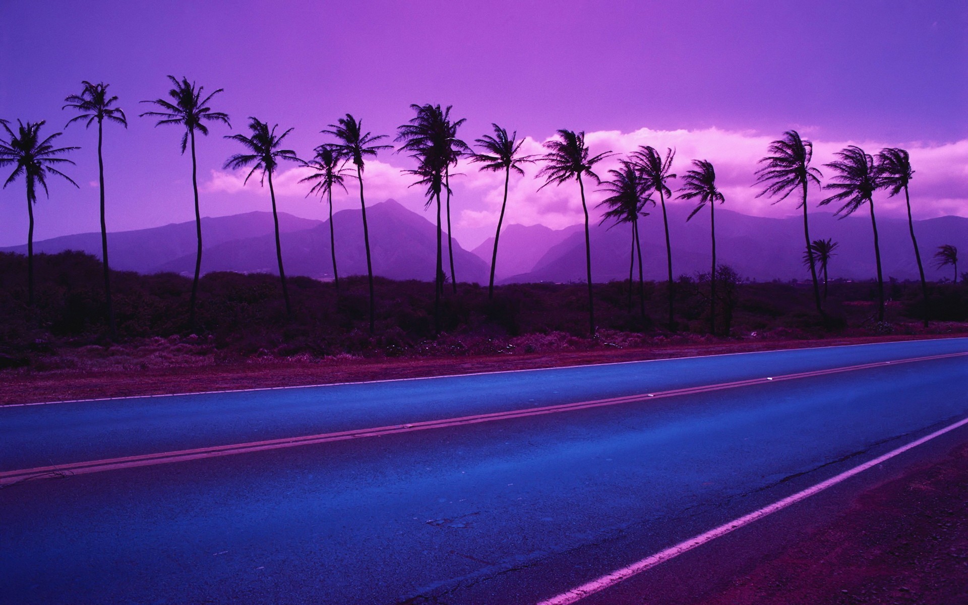 Обои дорога, горы, цвет, пальмы, road, mountains, color, palm trees разрешение 1920x1200 Загрузить