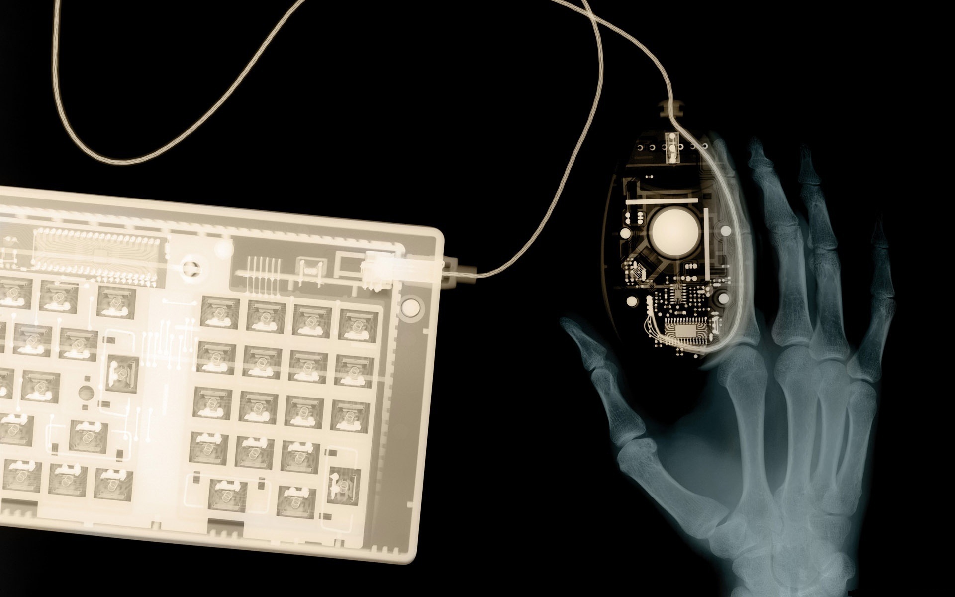 Обои рука, клавиатура, рентген, hand, keyboard, x-ray разрешение 1920x1200 Загрузить
