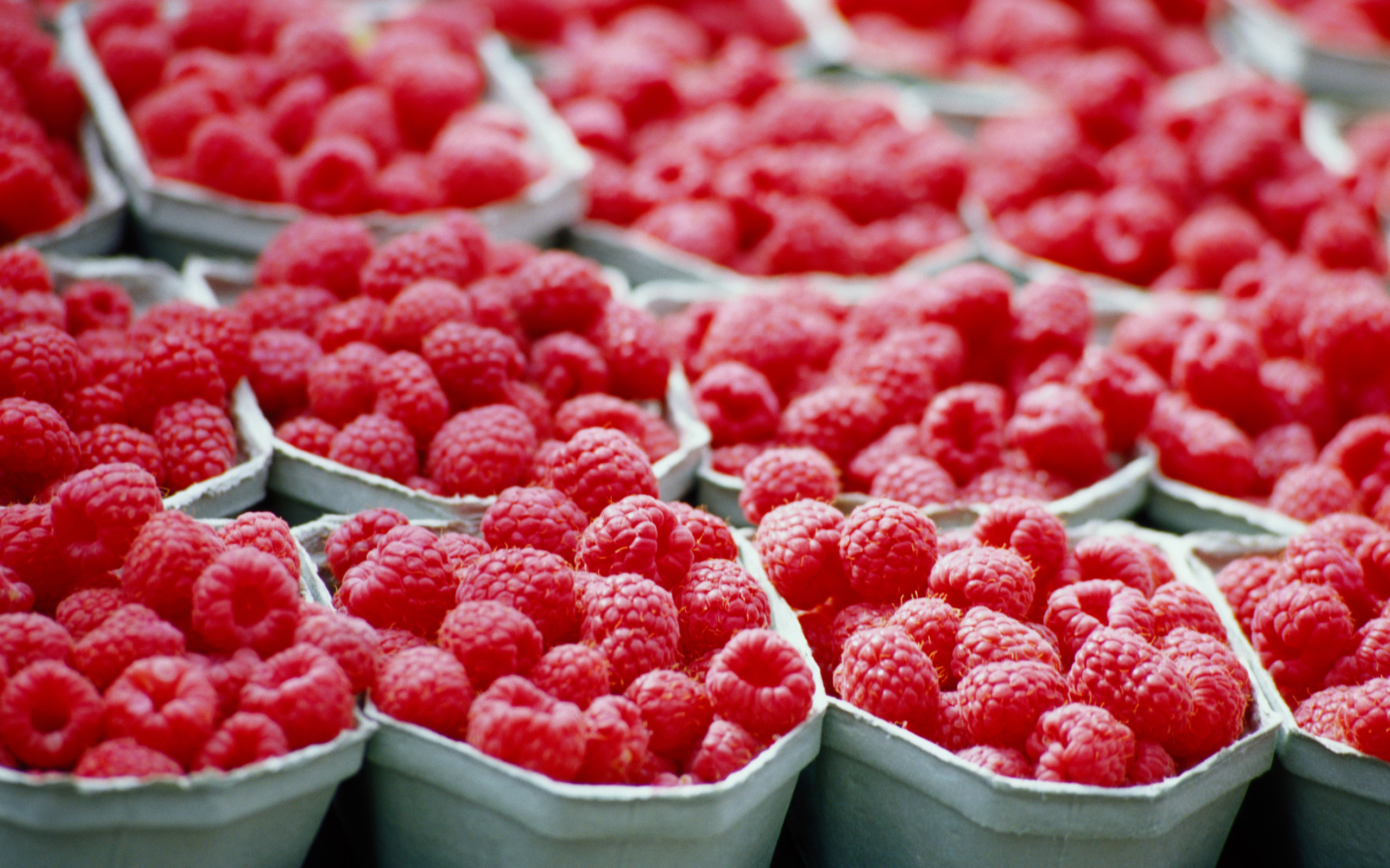 Обои вкус, малина, красный, ягоды, taste, raspberry, red, berries разрешение 2560x1600 Загрузить