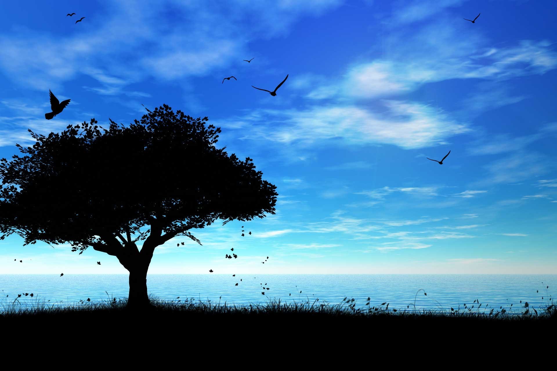 Обои небо, дерево, море, тень, птички, the sky, tree, sea, shadow, birds разрешение 1920x1280 Загрузить