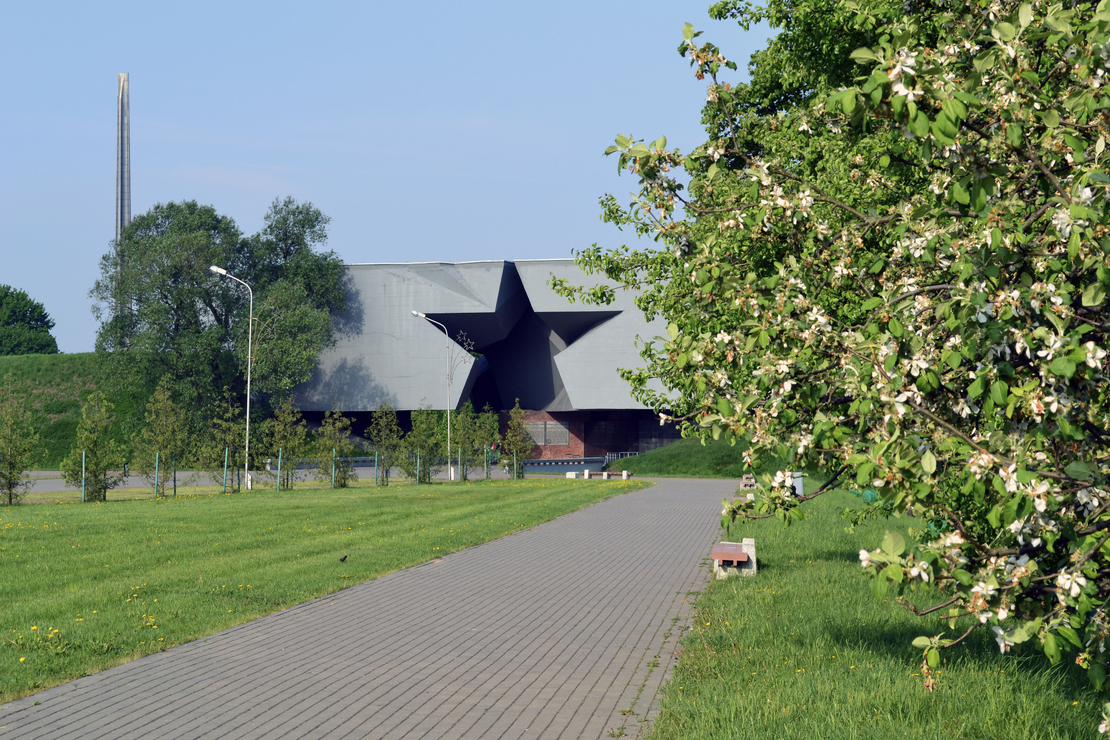 Обои деревья, дорожка, звезда, trees, track, star разрешение 4608x3072 Загрузить