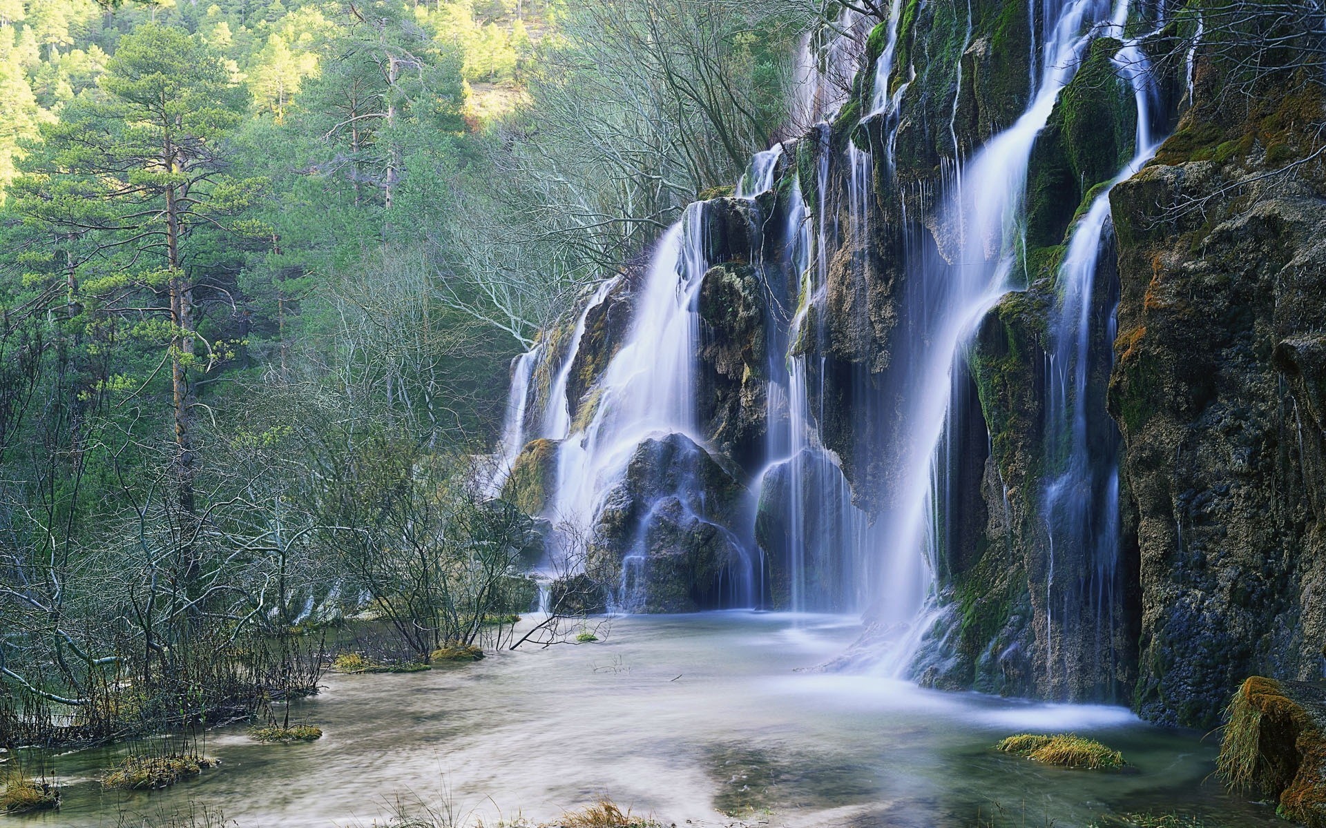 Обои деревья, лес, водопад, trees, forest, waterfall разрешение 1920x1200 Загрузить