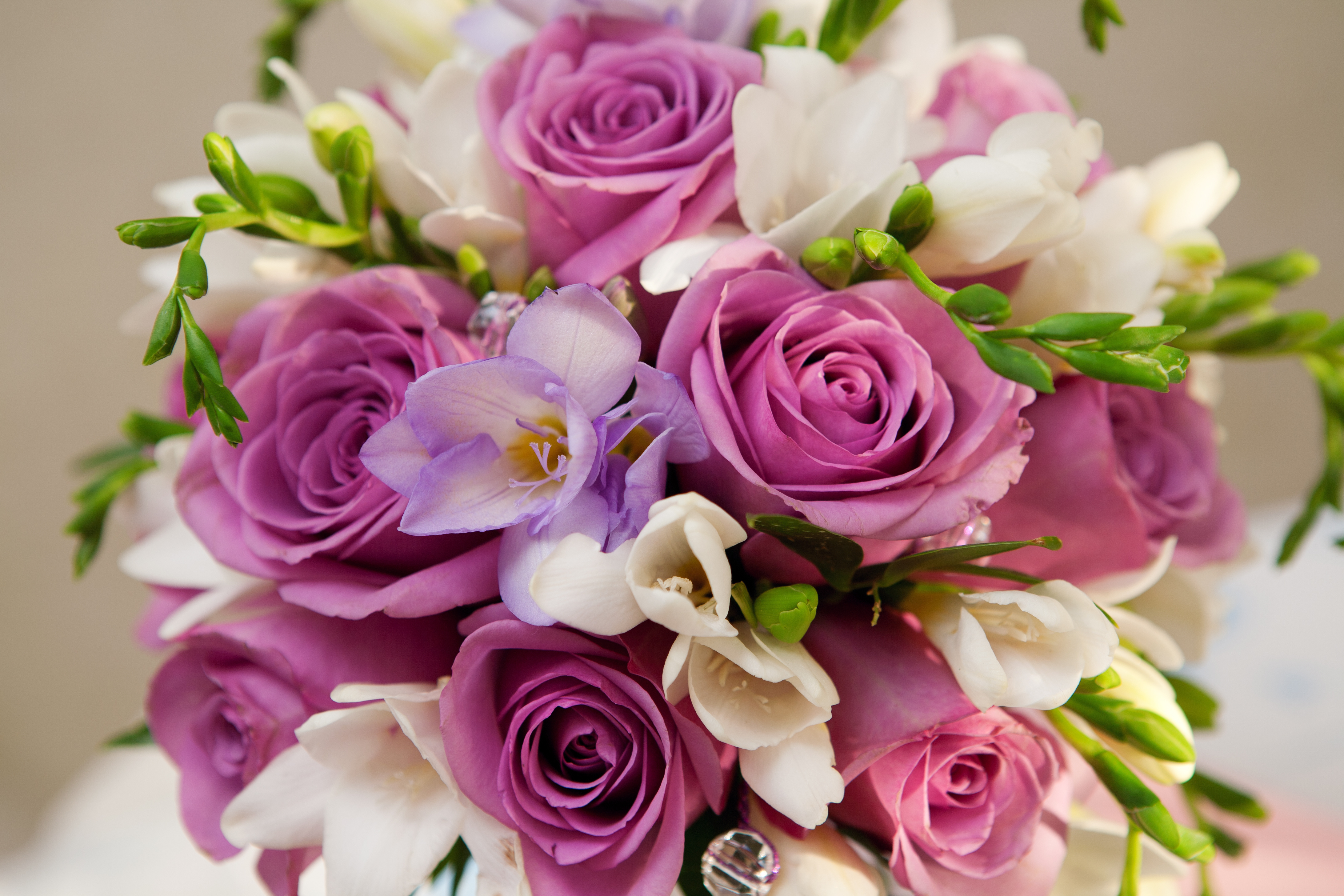 Обои cvety, fioletovyj, rozy, buket разрешение 4368x2912 Загрузить