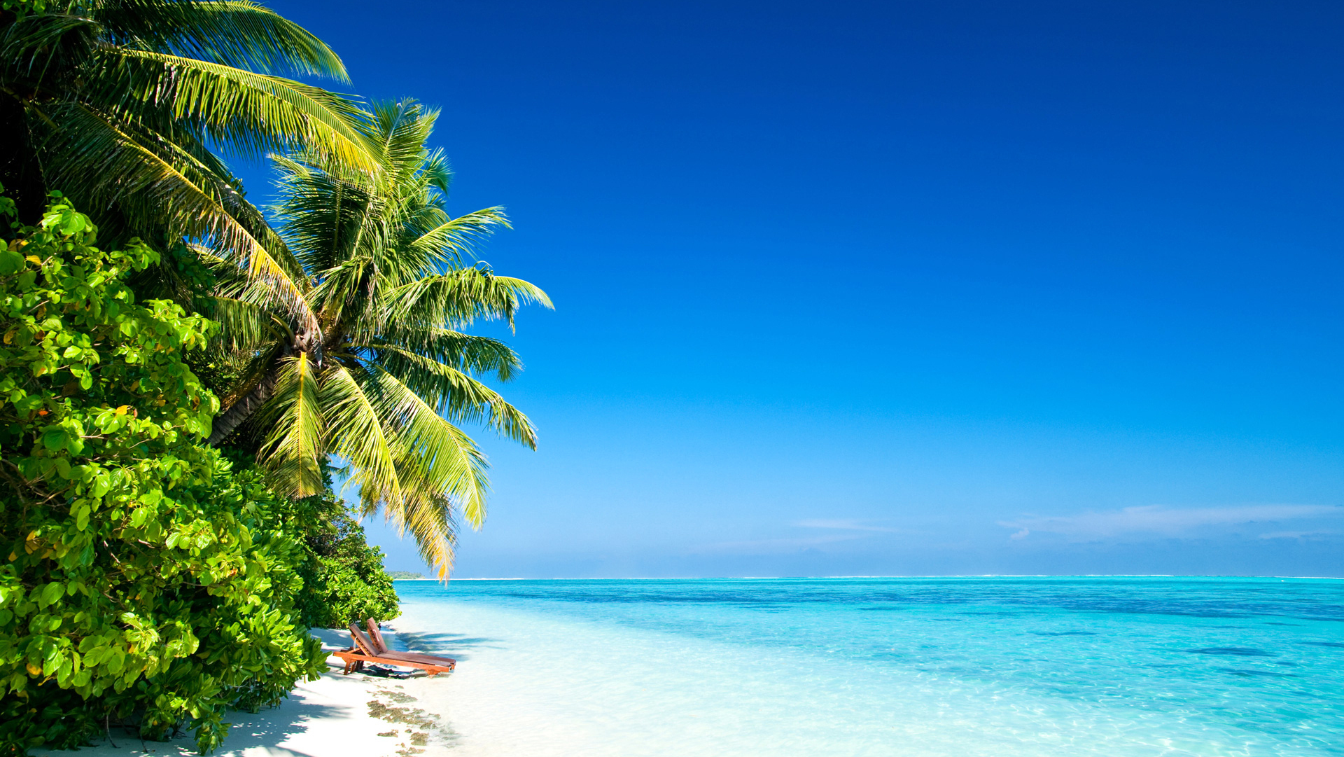 Обои пляж, пальмы, тропики, beach, palm trees, tropics разрешение 1920x1081 Загрузить