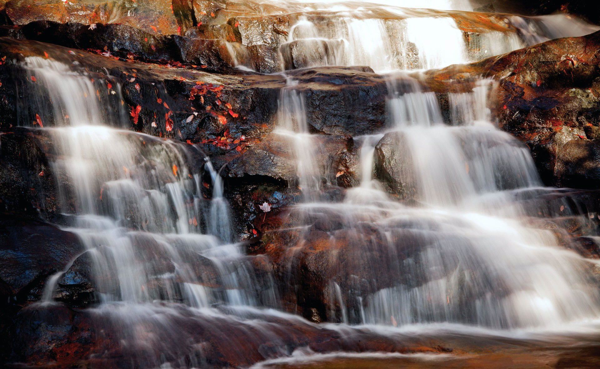 Обои природа, камни, листья, водопад, каскад, nature, stones, leaves, waterfall, cascade разрешение 1920x1180 Загрузить