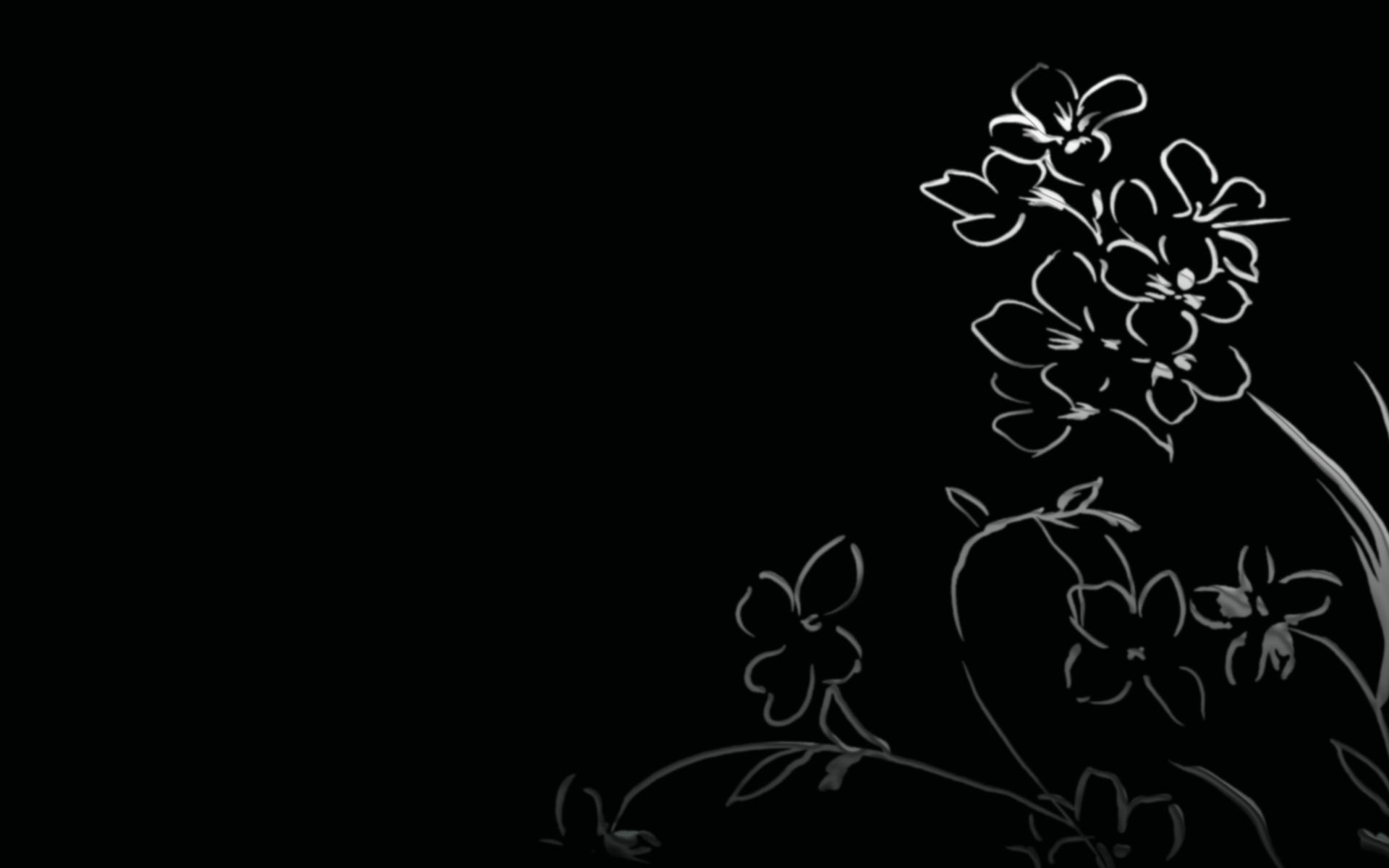 Обои цветы, черный фон, цветочки, рисуночек, flowers, black background, reconocer разрешение 1920x1200 Загрузить