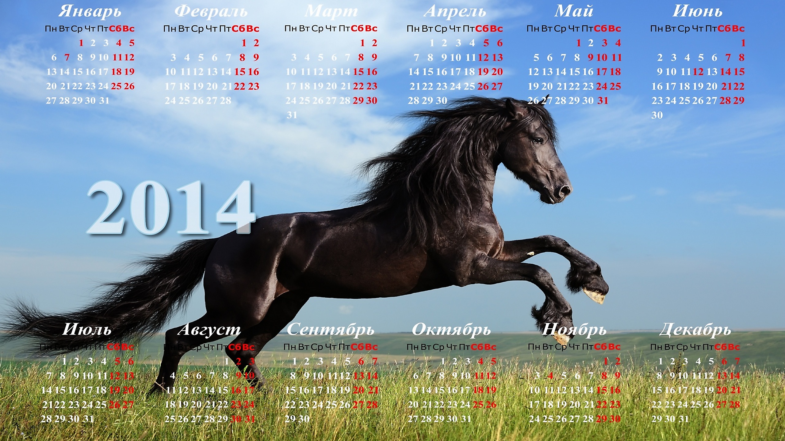 Обои календарь 2014 с лошадью, calendar 2014 with horse разрешение 2560x1440 Загрузить