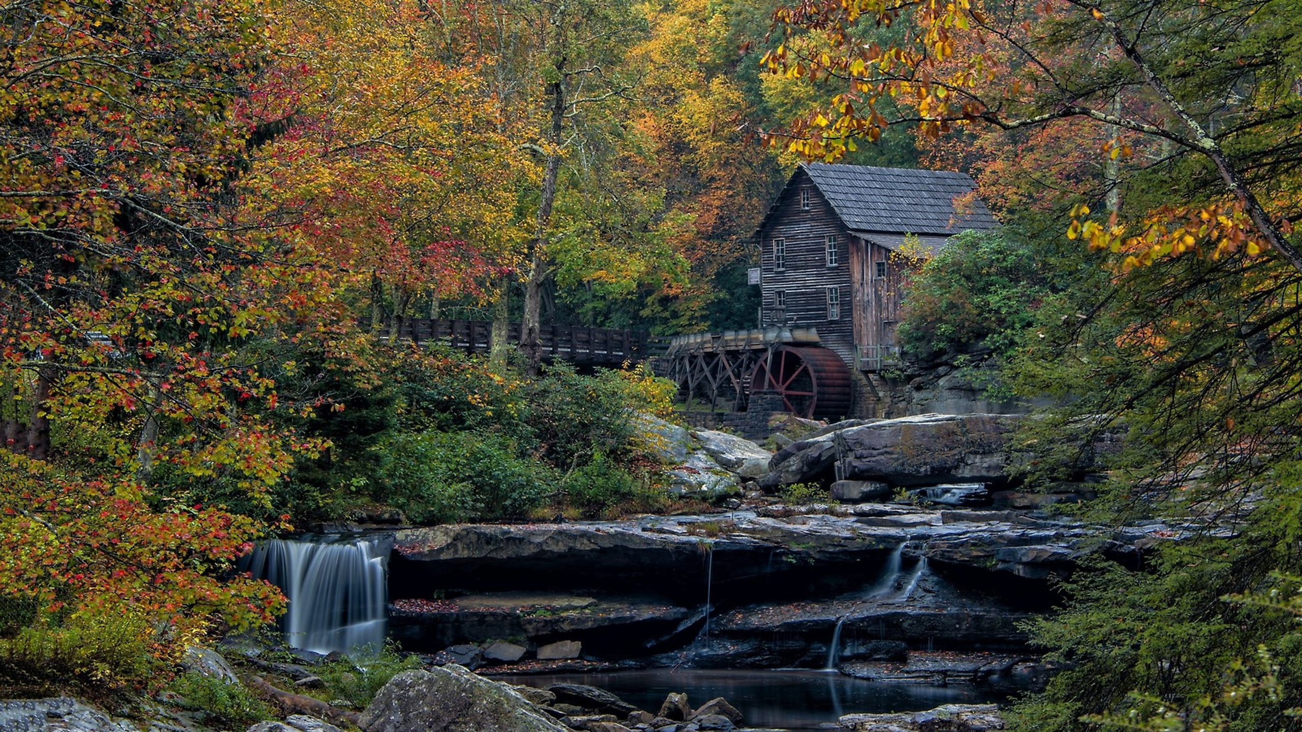 Обои мельница в осеннем лесу, mill in autumn forest разрешение 2560x1440 Загрузить