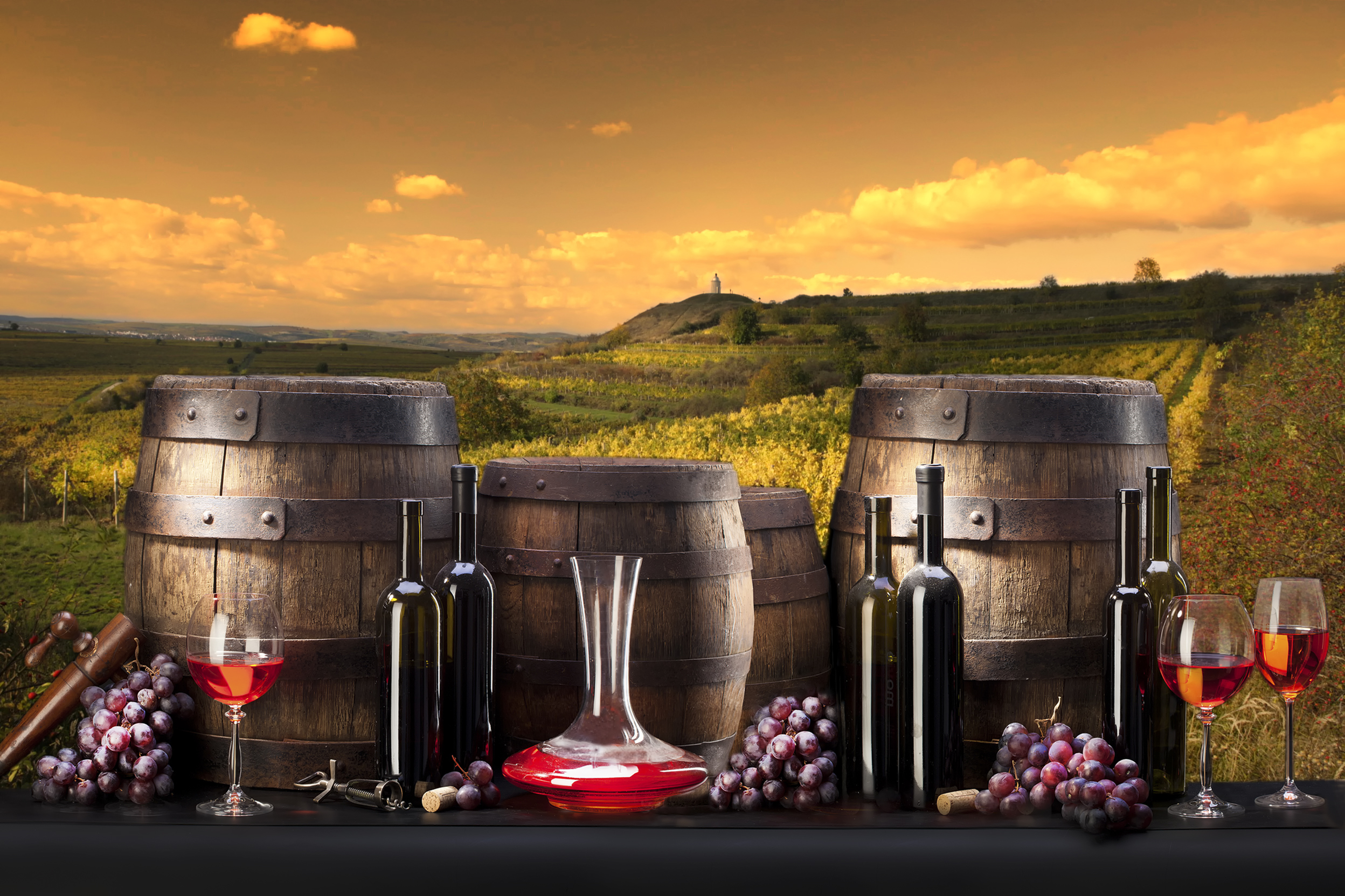 Обои виноград, вино, бокалы, бутылки, бочки, виноградники, grapes, wine, glasses, bottle, barrels, the vineyards разрешение 4992x3328 Загрузить