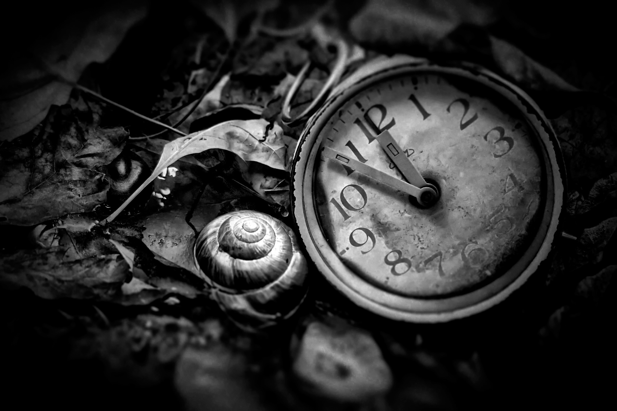 Обои чёрно-белое, часы, время, циферблат, black and white, watch, time, dial разрешение 2048x1366 Загрузить
