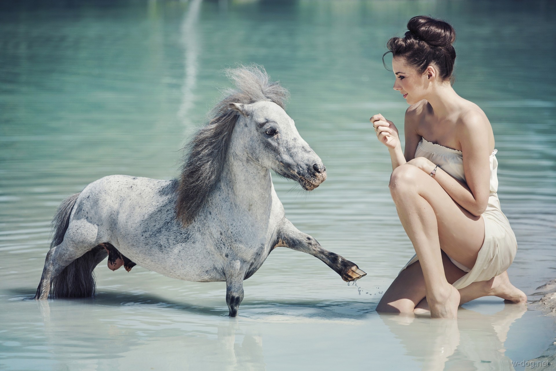 Обои вода, девушка, настроение, пони, лошадка, коняжка, water, girl, mood, pony, horse, konarka разрешение 1920x1280 Загрузить