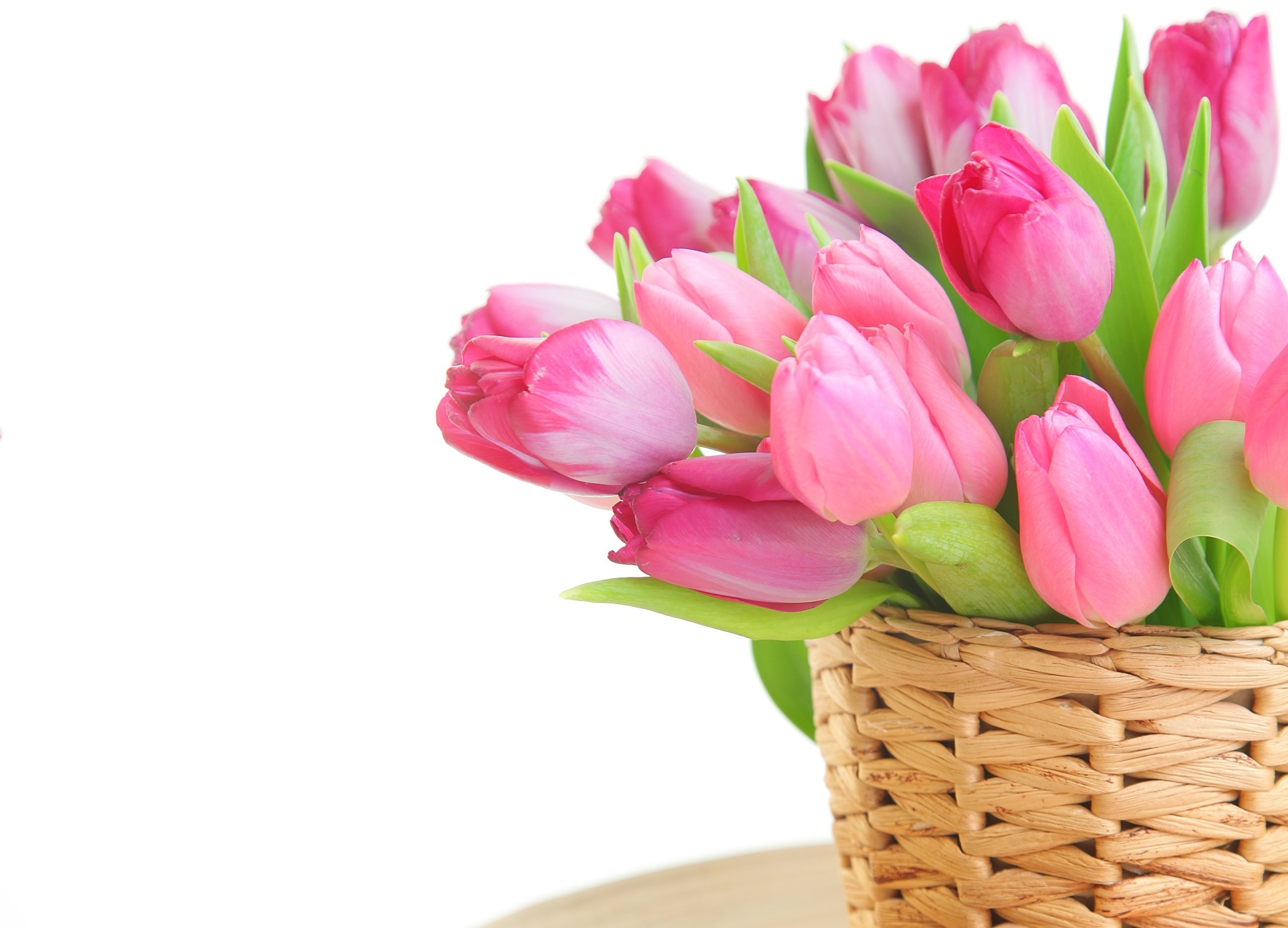 Обои цветы, тюльпаны, розовые, белый фон, корзинка, flowers, tulips, pink, white background, basket разрешение 2553x1840 Загрузить