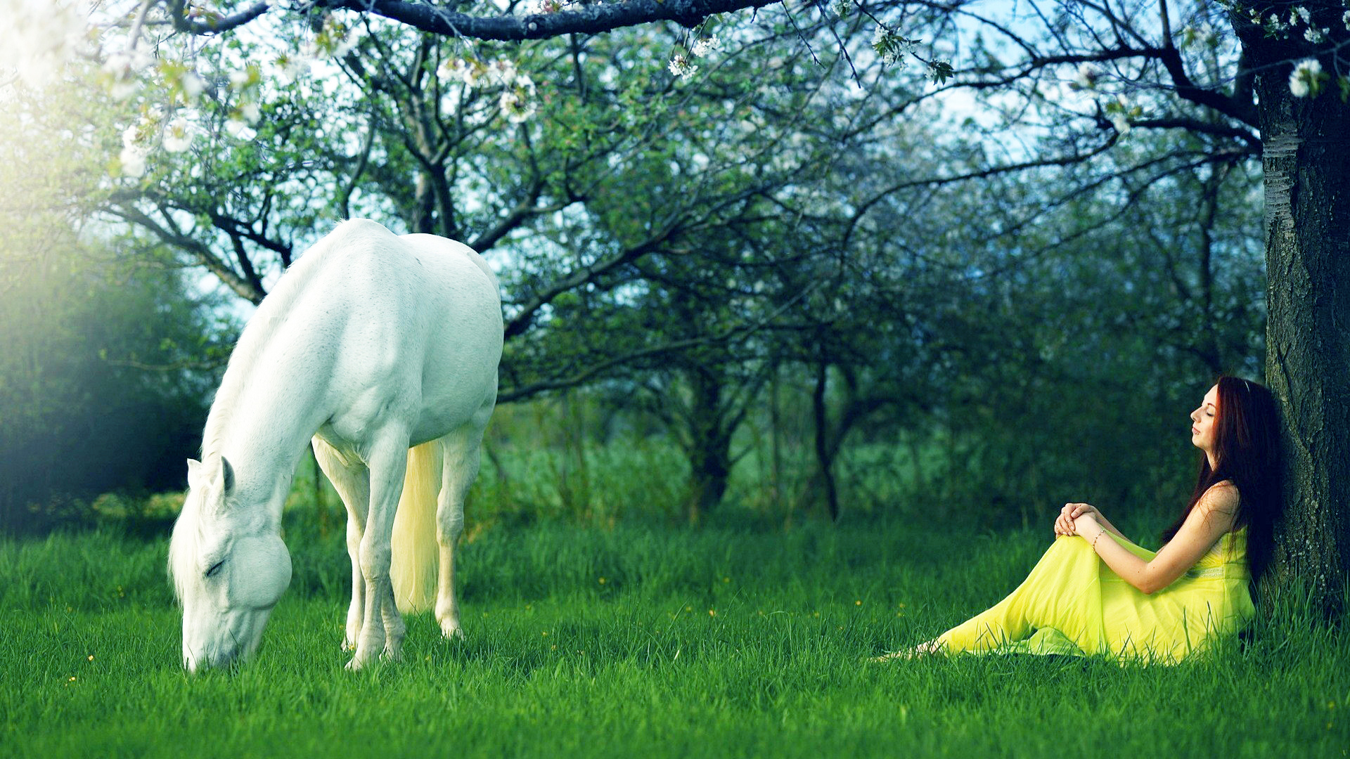 Обои лошадь, трава, девушка, платье, брюнетка, конь, желтое платье, horse, grass, girl, dress, brunette, yellow dress разрешение 1920x1080 Загрузить