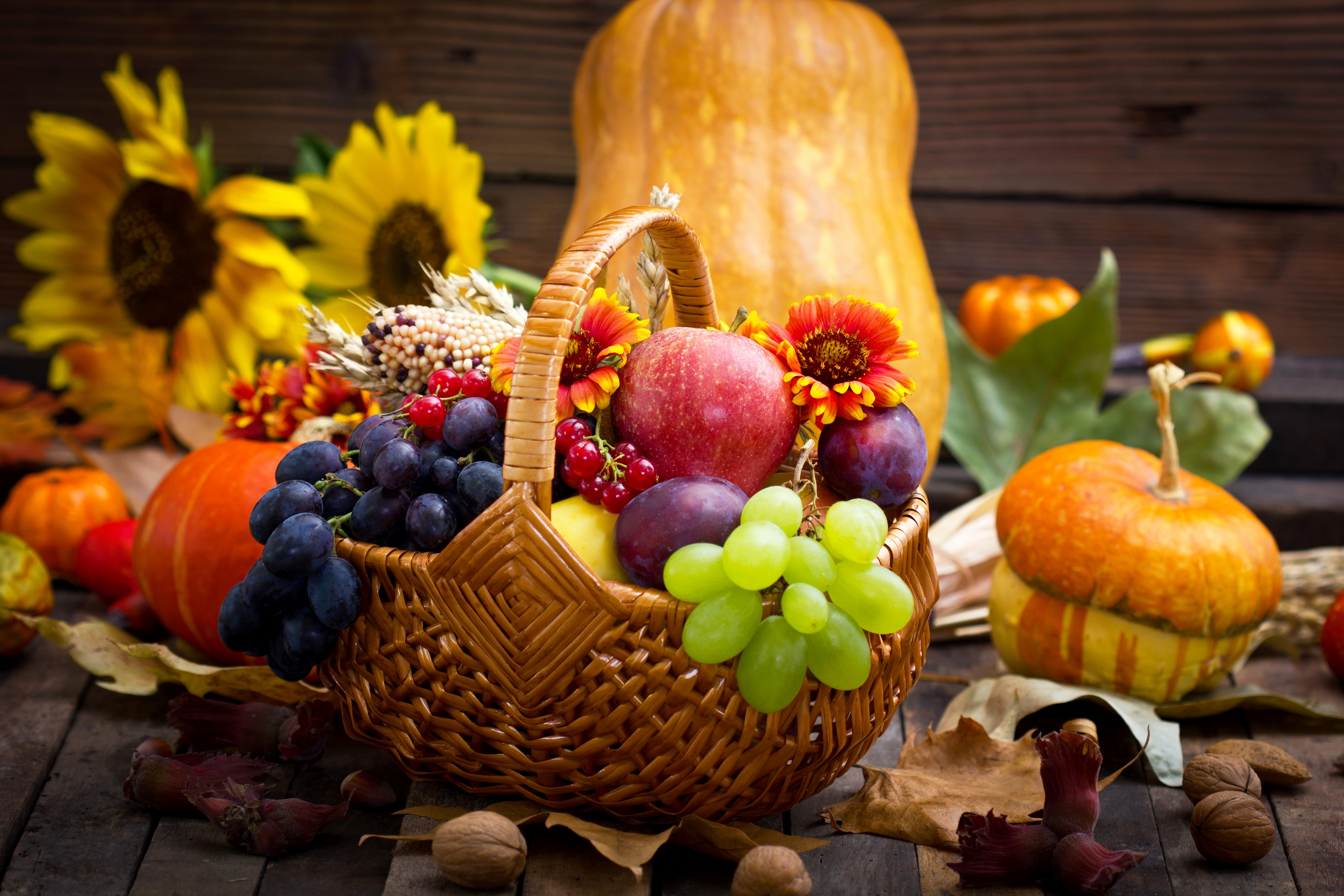 Обои цветы, ягоды, красотуля, листья, яблоко, орехи, урожай, виноград, овощи, фрукты, яблок, тыква, яблоки, натюрморт, корзина,  цветы, подсолнухи, осен, flowers, berries, leaves, apple, nuts, harvest, grapes, vegetables, fruit, pumpkin, apples, still life, basket, sunflowers, autumn разрешение 2880x1920 Загрузить