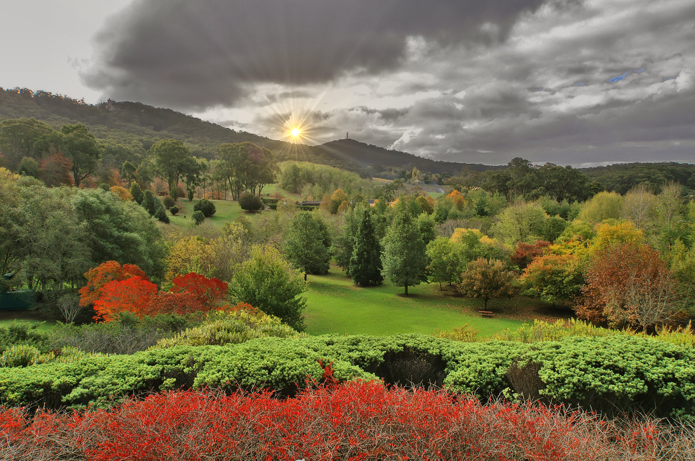 Обои пейзаж, осень, lofty botanic gardens, аделаида-хиллс, южная австралия, landscape, autumn, adelaide hills, south australia разрешение 2256x1496 Загрузить