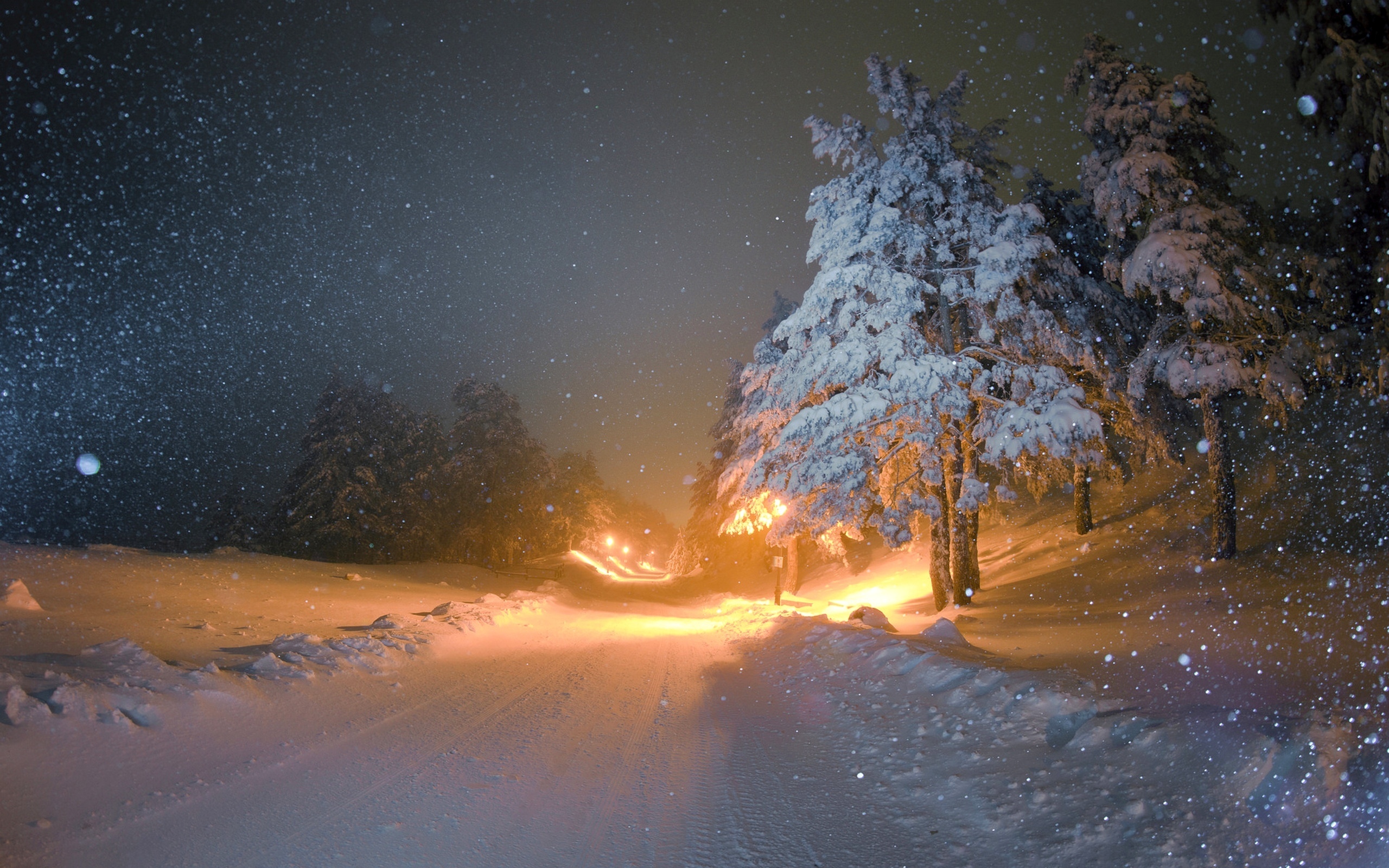 Обои дорога, ночь, зима, метель, road, night, winter, blizzard разрешение 2560x1600 Загрузить