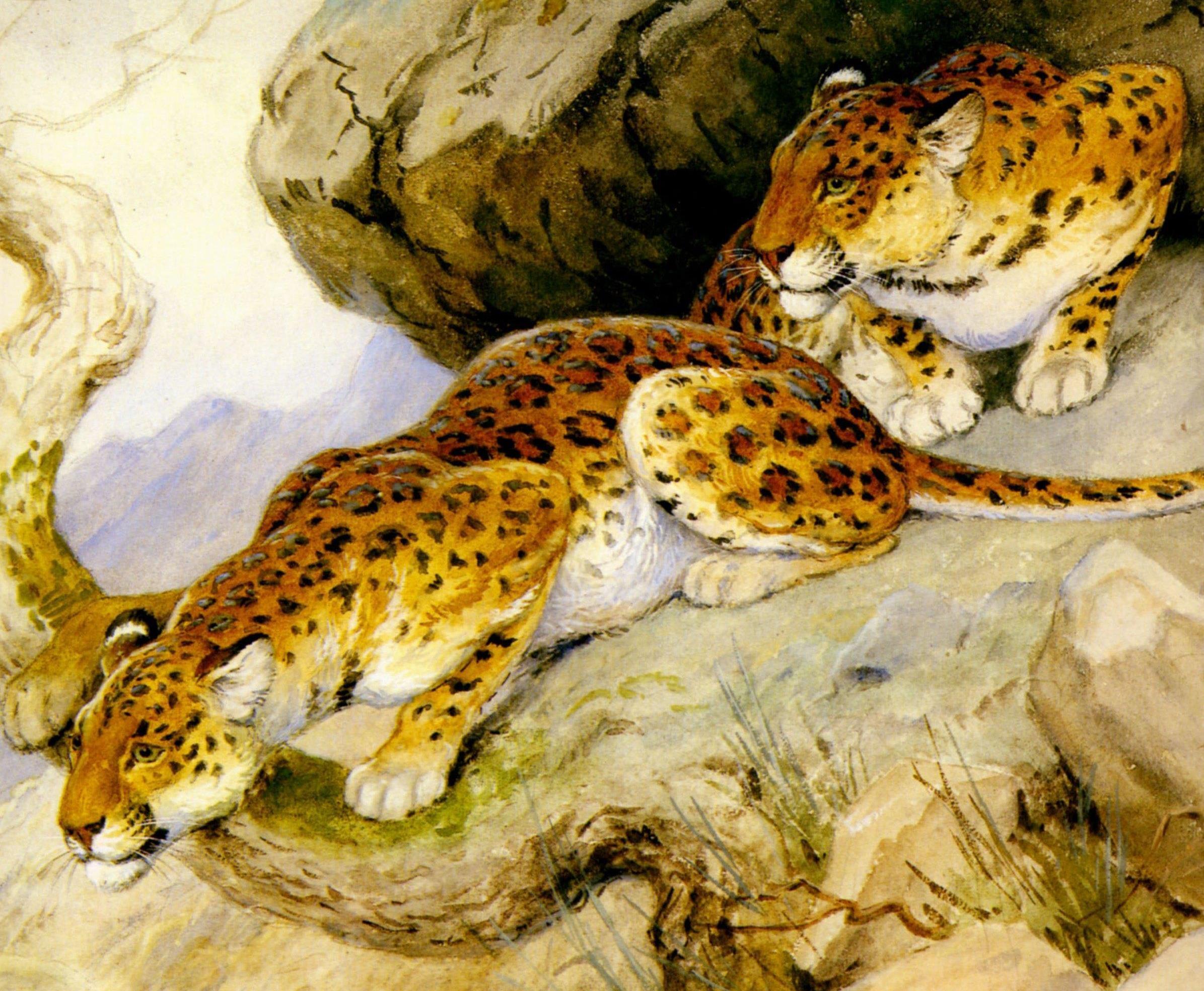 Обои арт, хищники, леопарды, живопись, georges-frederic rotig, art, predators, leopards, painting разрешение 2391x1970 Загрузить