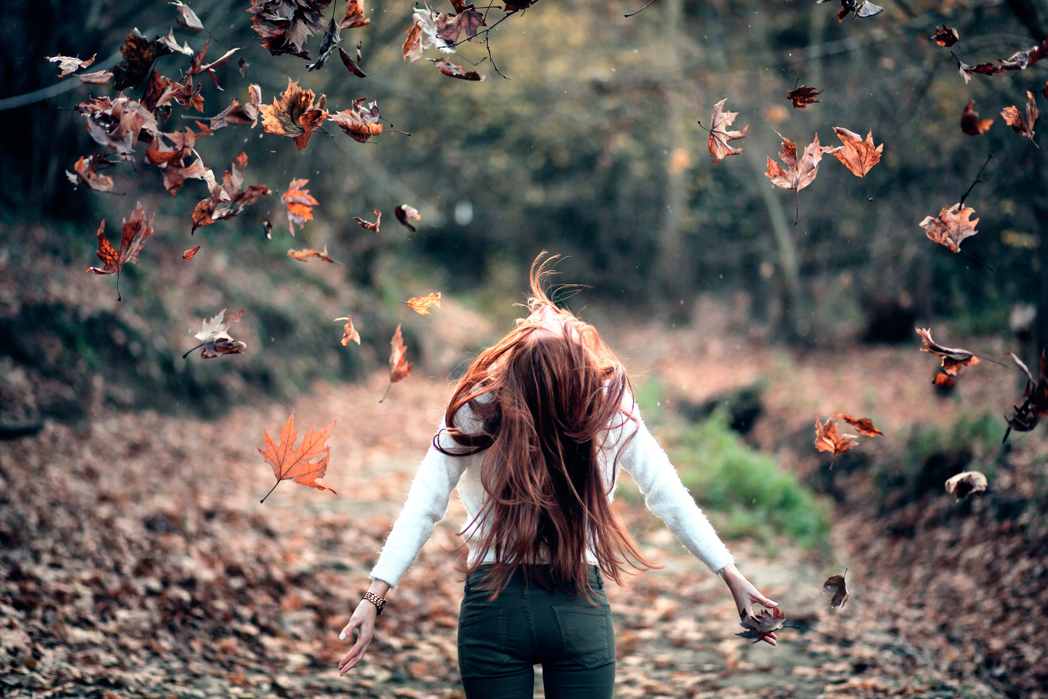 Обои листья, девушка, осень, свобода, leaves, girl, autumn, freedom разрешение 2048x1365 Загрузить