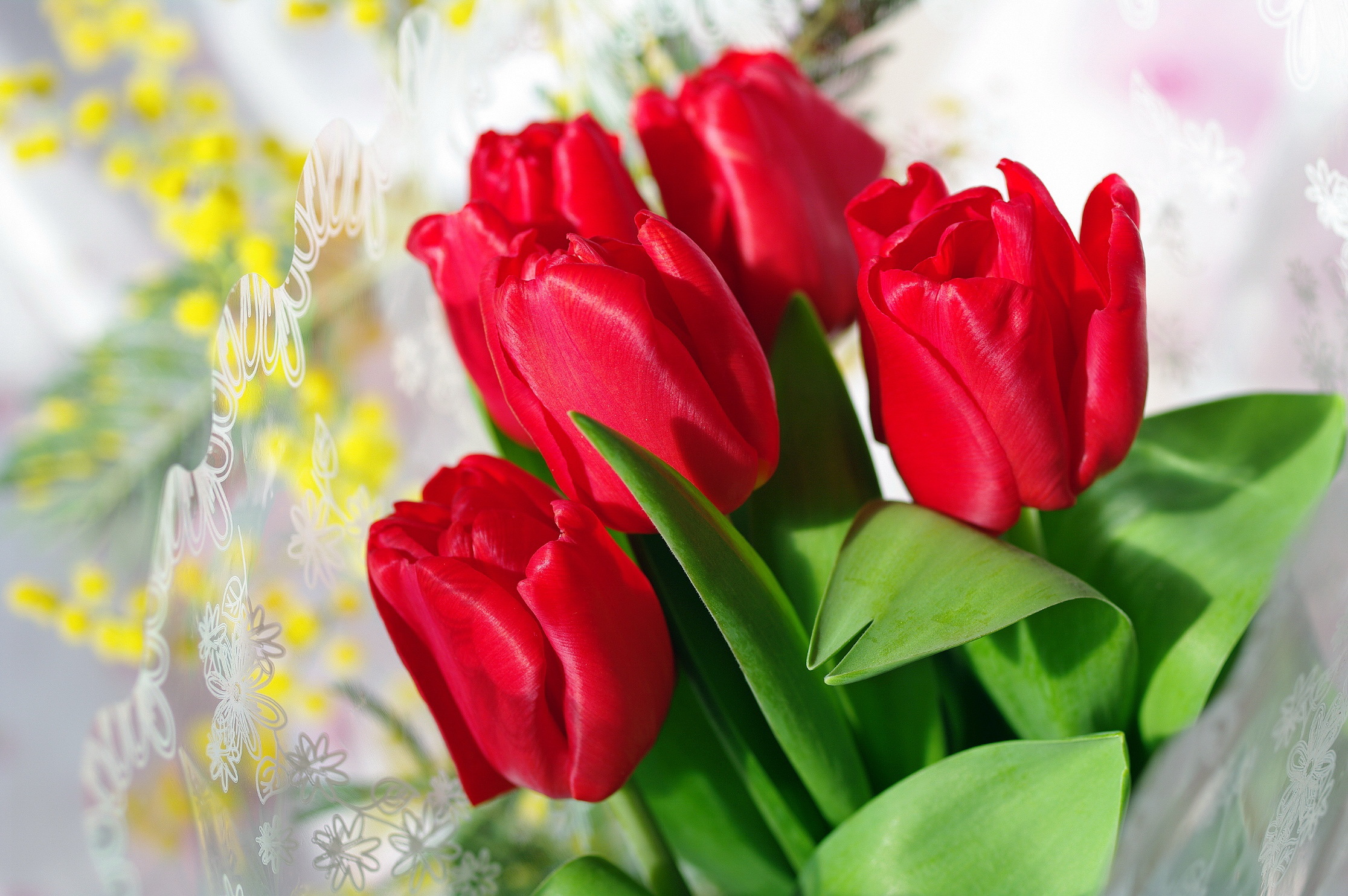 Обои цветы, бутоны, красные, тюльпаны, flowers, buds, red, tulips разрешение 2232x1484 Загрузить