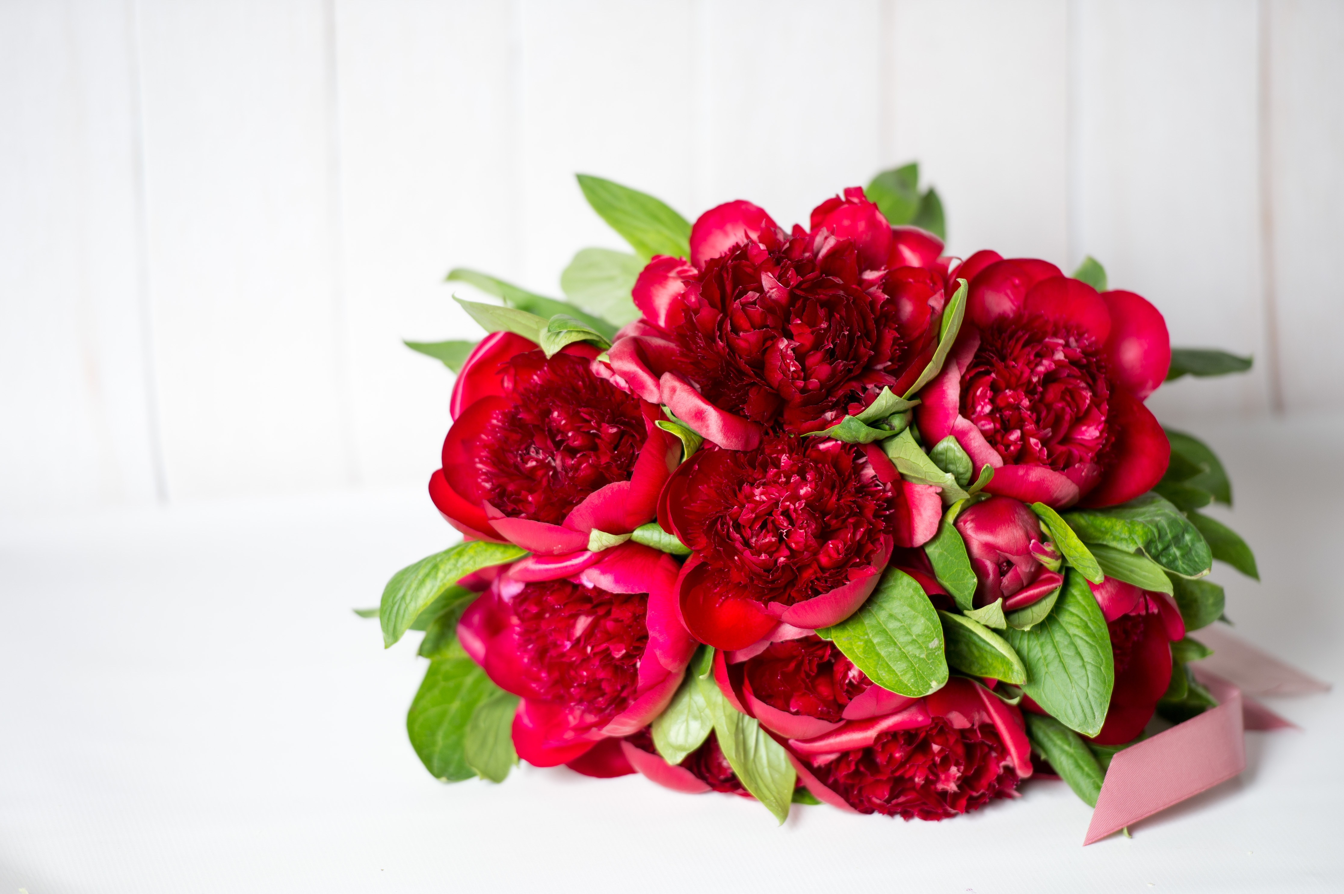 Обои цветы, красный, букет, пионы, flowers, red, bouquet, peonies разрешение 4468x2974 Загрузить