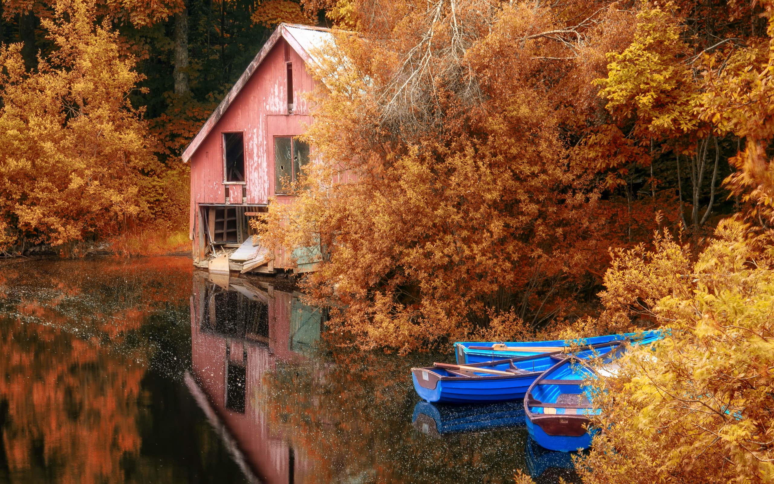 Обои деревья, озеро, листья, отражение, осень, лодки, дом, trees, lake, leaves, reflection, autumn, boats, house разрешение 2560x1600 Загрузить