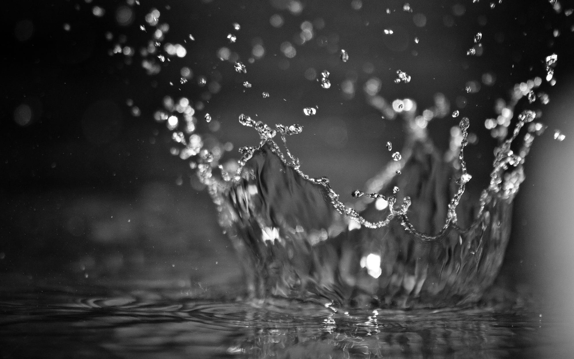 Обои вода, капли, чёрно-белое, всплеск, water, drops, black and white, splash разрешение 1920x1200 Загрузить