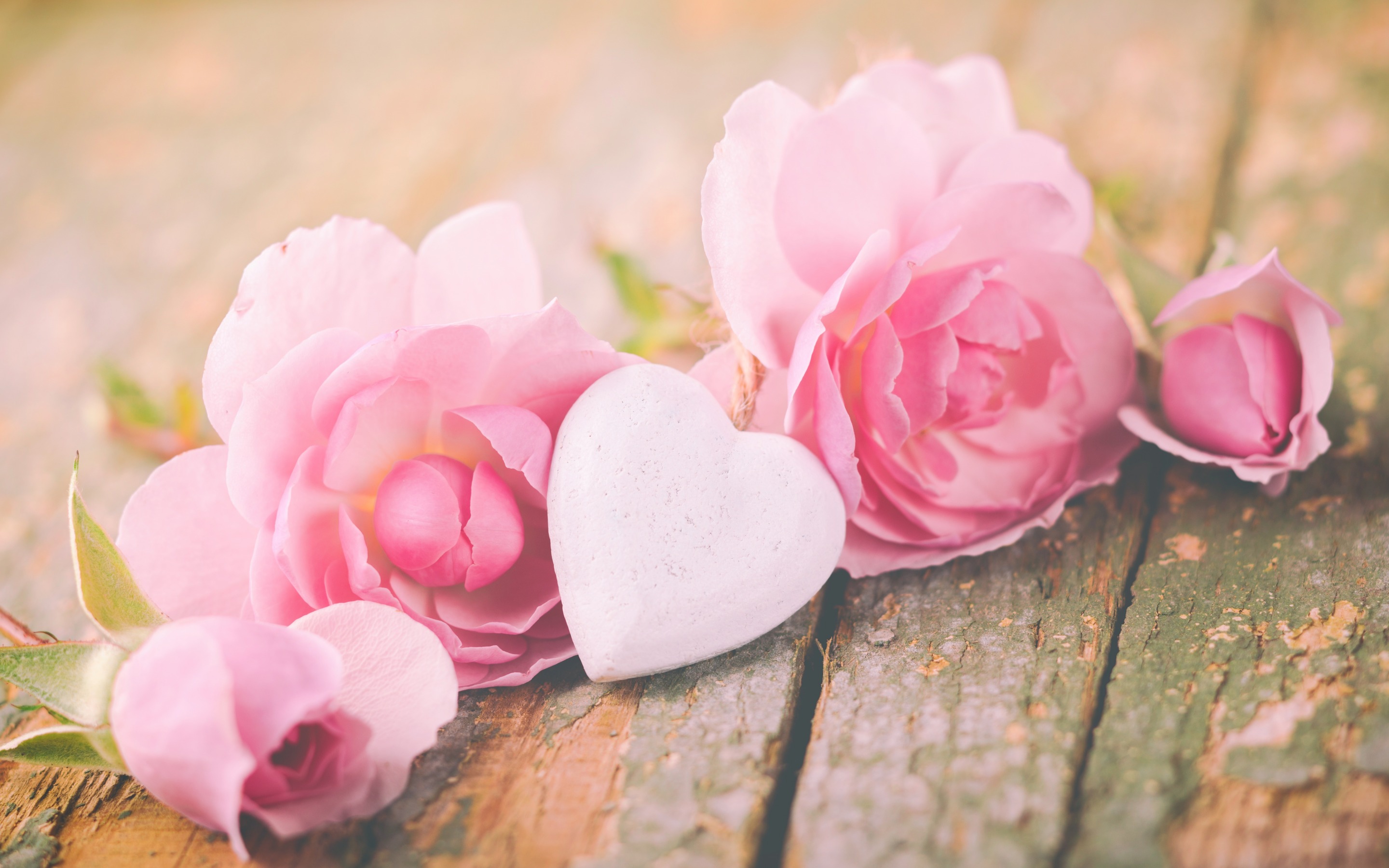 Обои цветы, розы, сердечко, сердце, доски, flowers, roses, heart, board разрешение 2880x1800 Загрузить