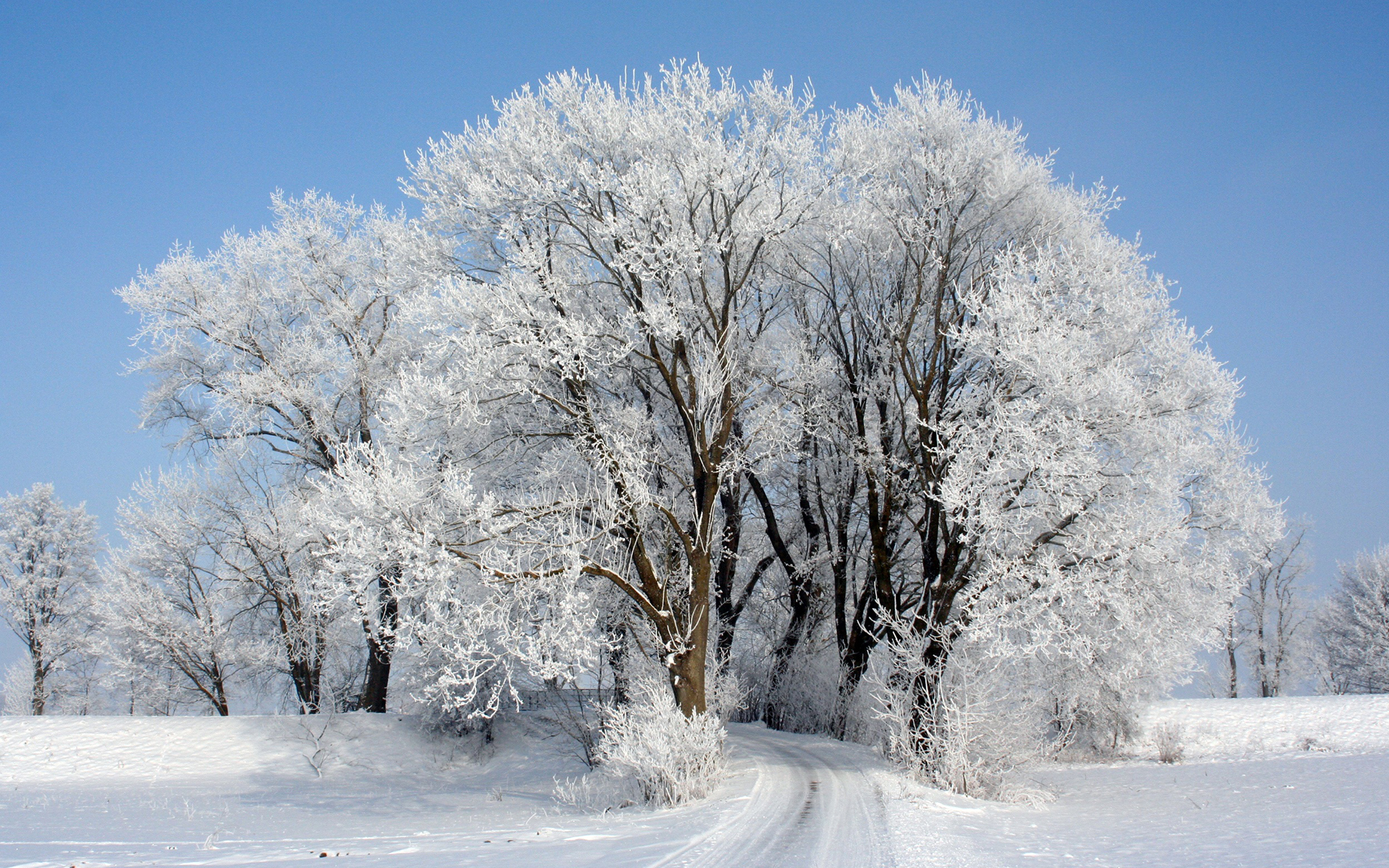 Обои небо, дорога, деревья, снег, зима, иней, the sky, road, trees, snow, winter, frost разрешение 1920x1200 Загрузить