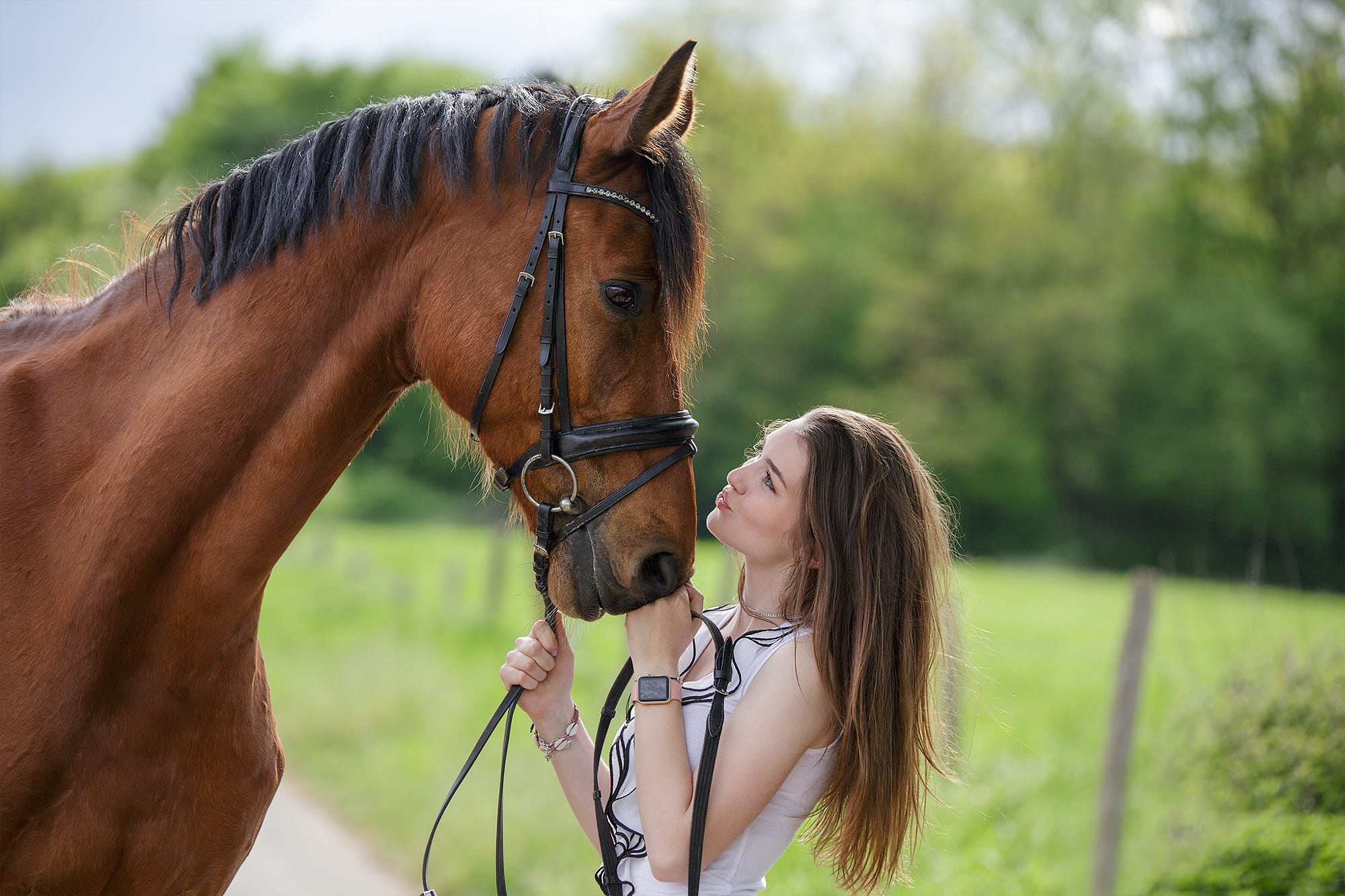 Обои лошадь, девушка, профиль, конь, грива, друзья, horse, girl, profile, mane, friends разрешение 2000x1333 Загрузить