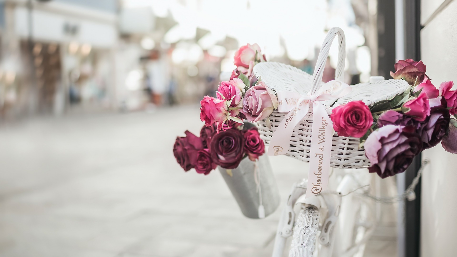 Обои цветы, розы, улица, велосипед, flowers, roses, street, bike разрешение 1920x1080 Загрузить