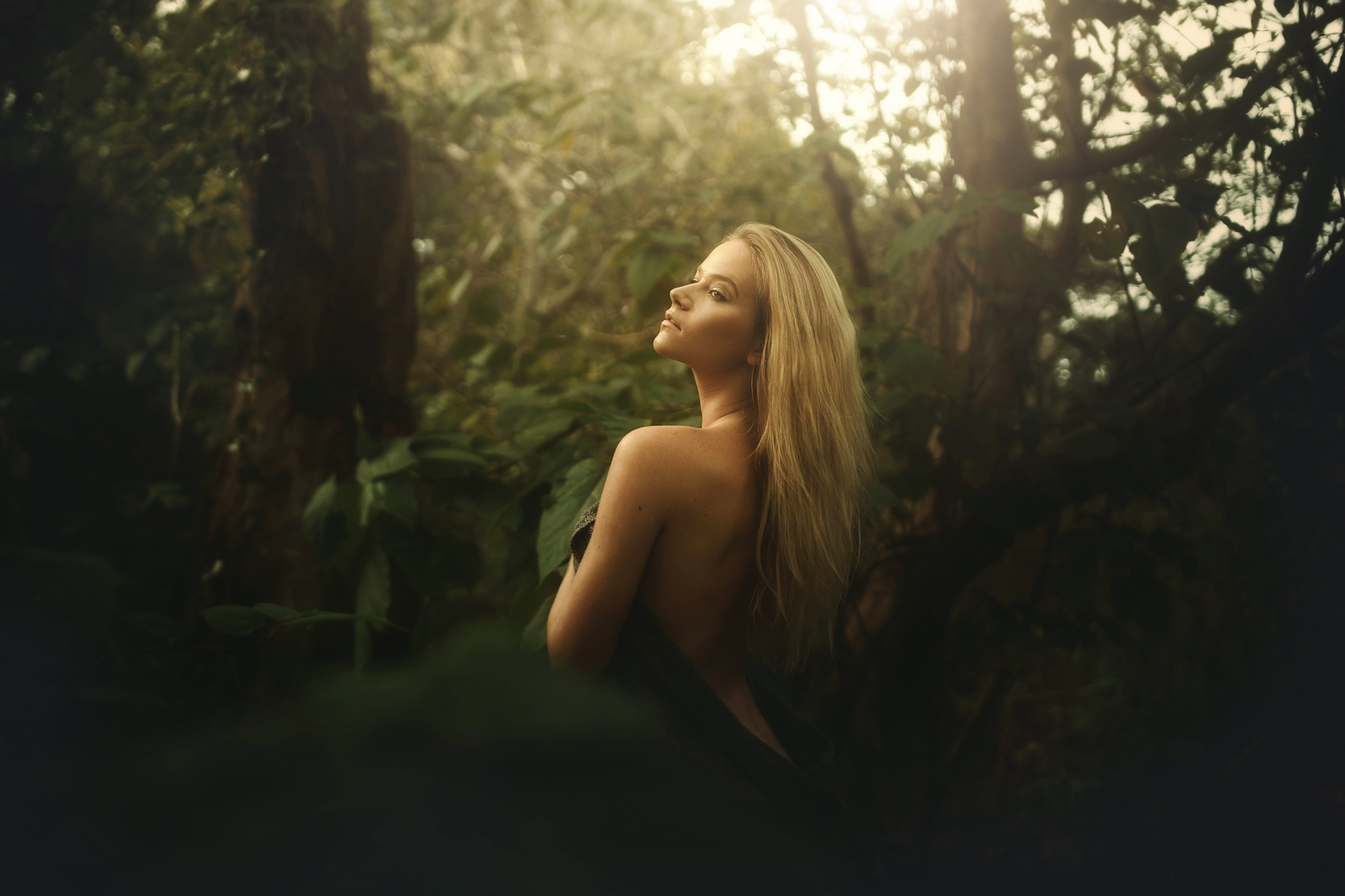 Обои лес, блондинка, взгляд, спина, tj drysdale, forest, blonde, look, back разрешение 2048x1365 Загрузить