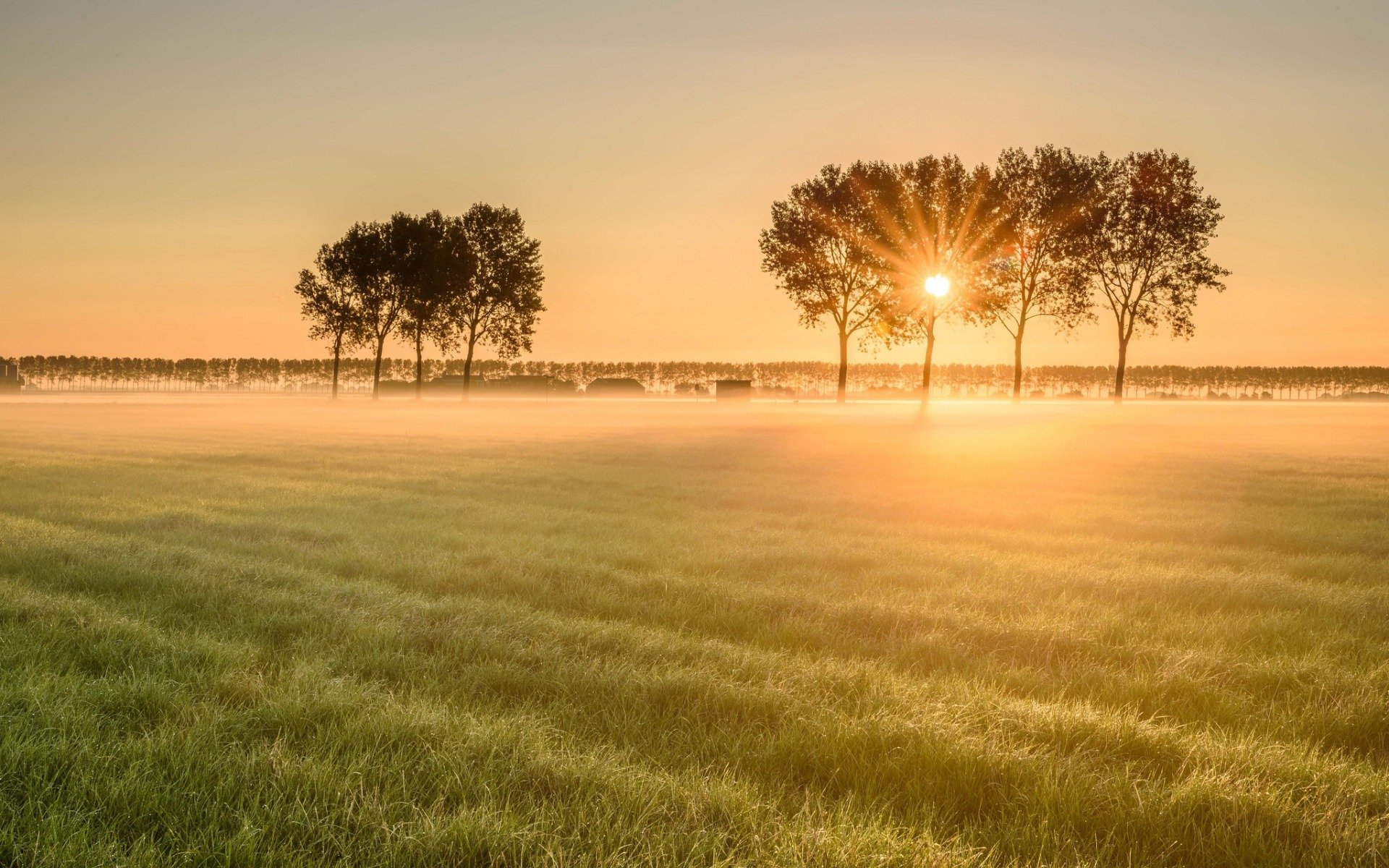 Обои пейзаж, утро, туман, поле, рассвет, landscape, morning, fog, field, dawn разрешение 1920x1200 Загрузить