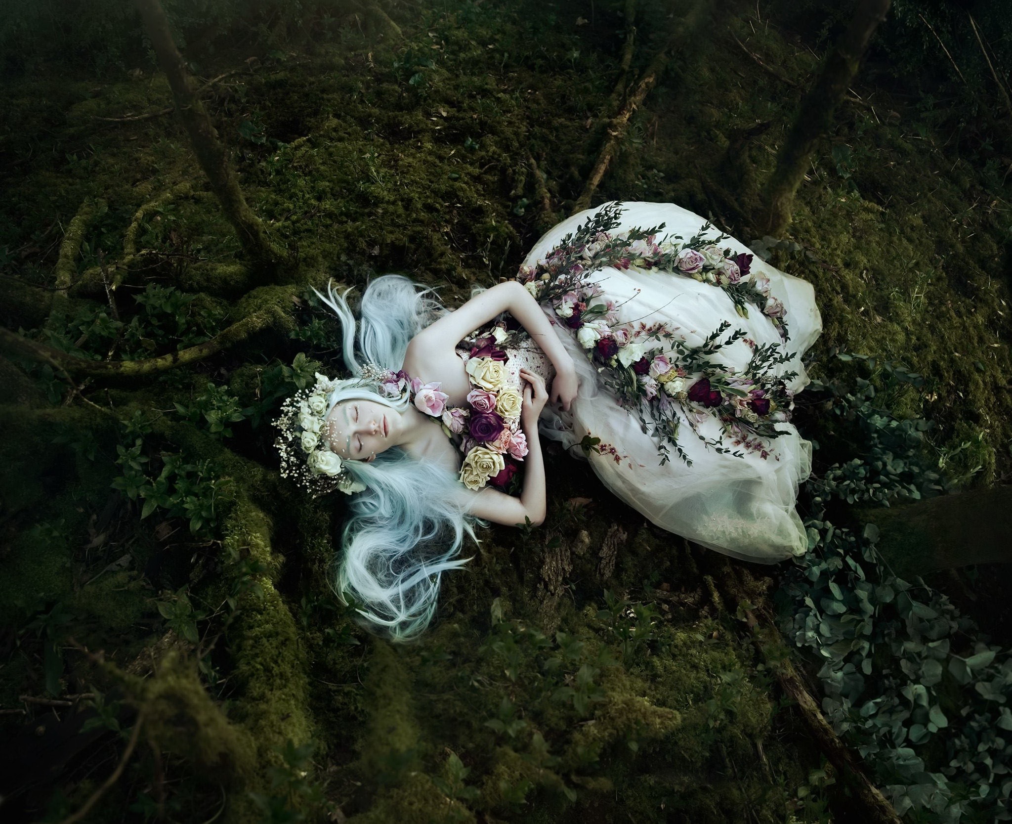 Обои цветы, девушка, мох, bella kotak, flowers, girl, moss разрешение 2048x1667 Загрузить