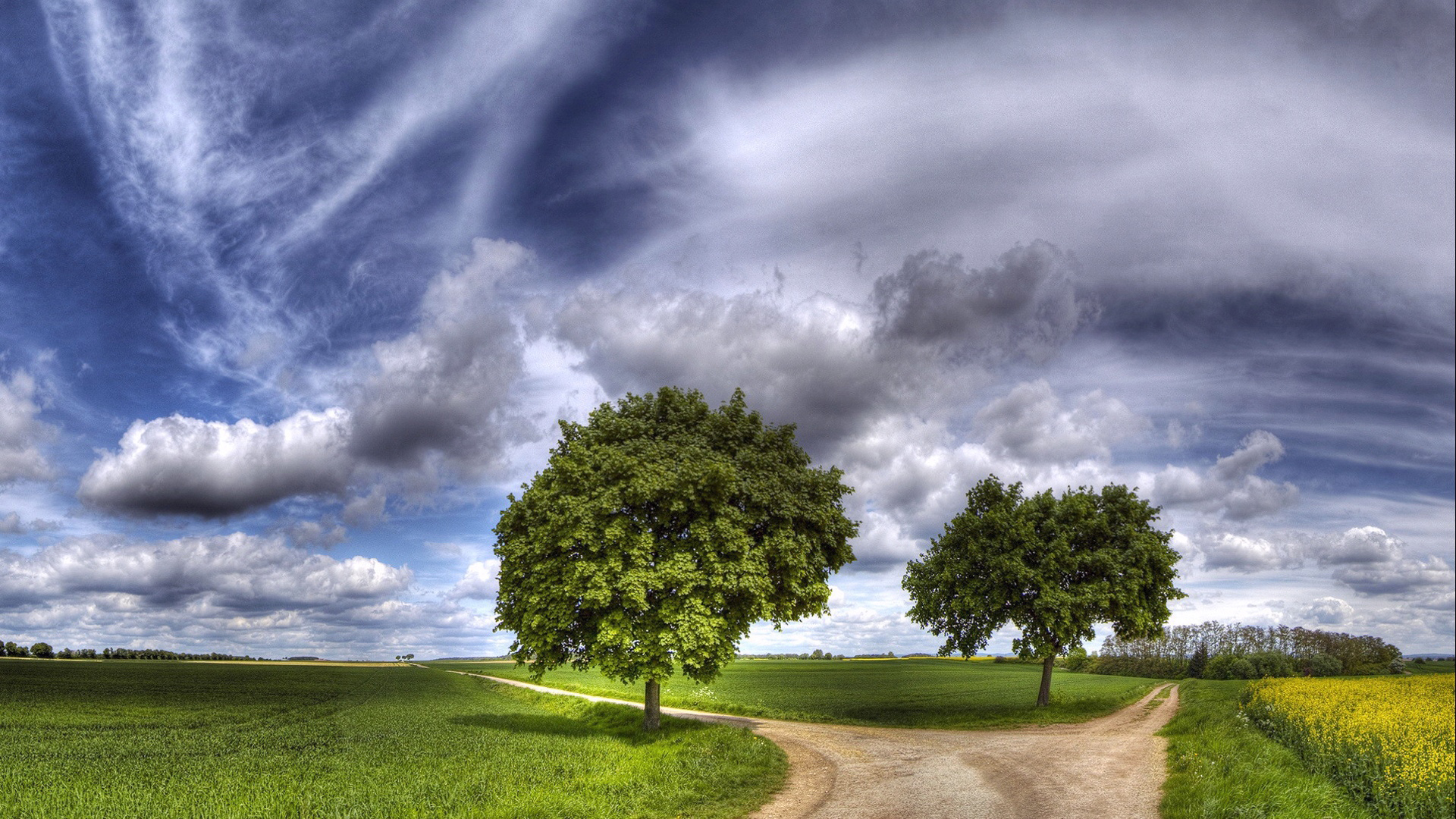 Обои небо, дорога, трава, облака, природа, зелень, пейзаж, луг, the sky, road, grass, clouds, nature, greens, landscape, meadow разрешение 1920x1080 Загрузить