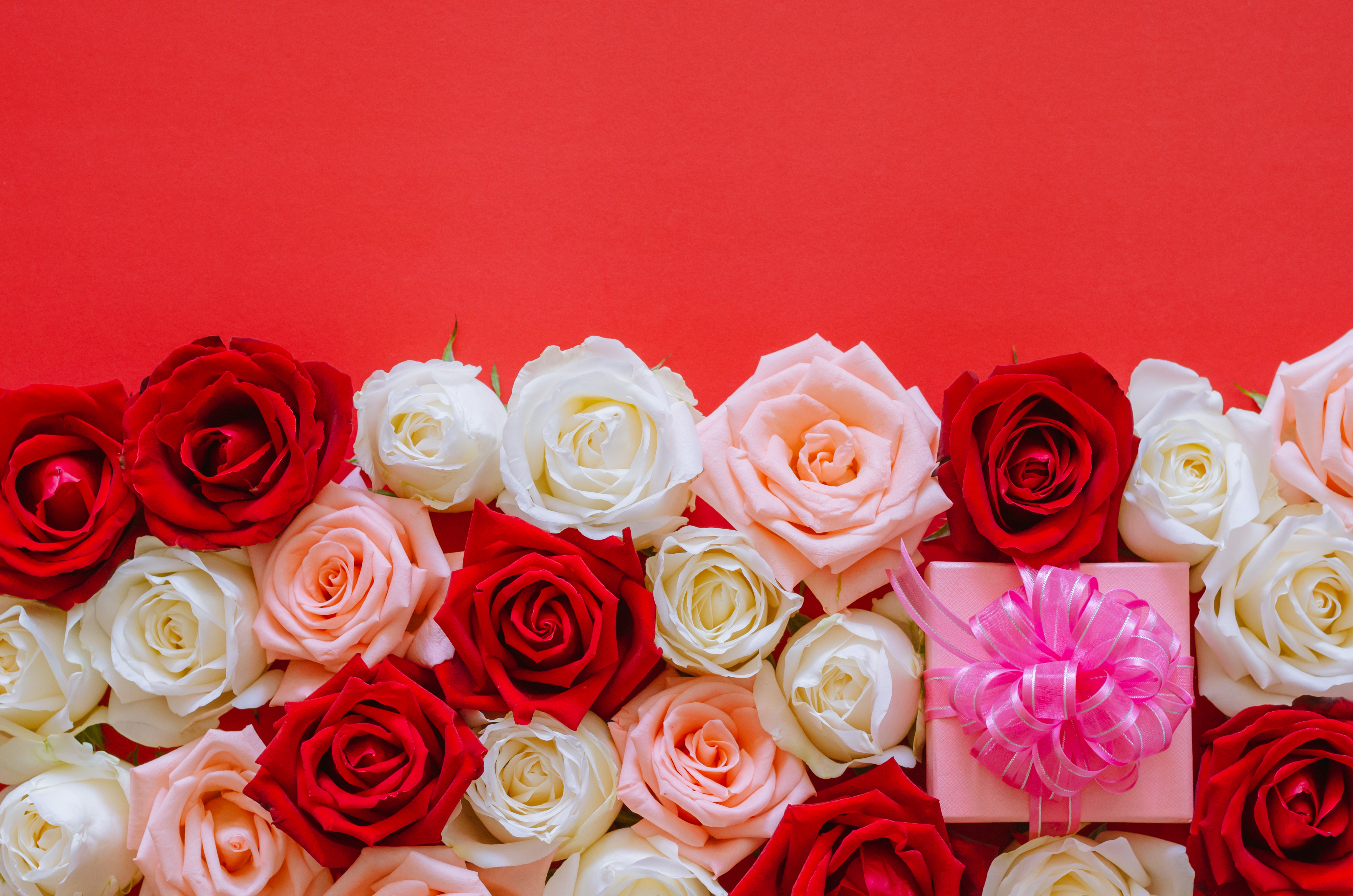 Обои бутоны, розы, подарок, день рождения, buds, roses, gift, birthday разрешение 4876x3230 Загрузить