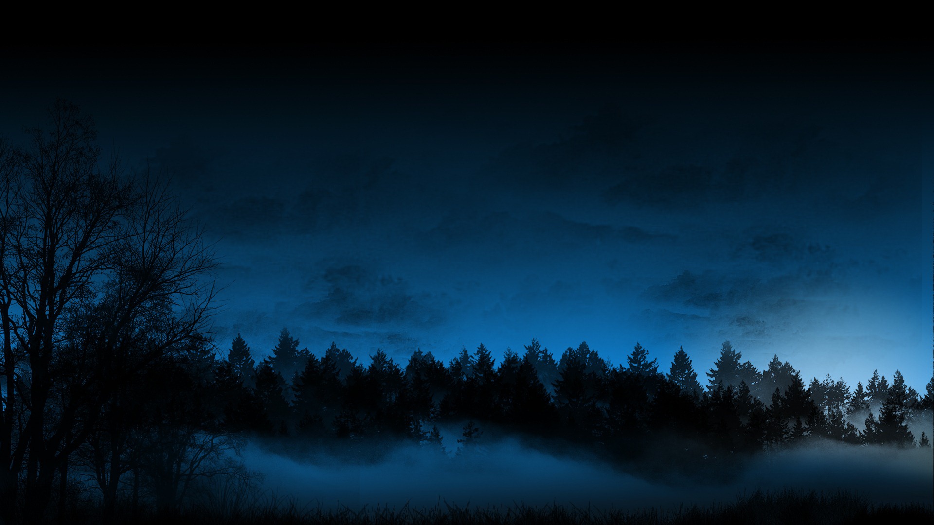 Обои небо, облака, ночь, деревья, природа, лес, туман, темно, the sky, clouds, night, trees, nature, forest, fog, dark разрешение 1920x1080 Загрузить