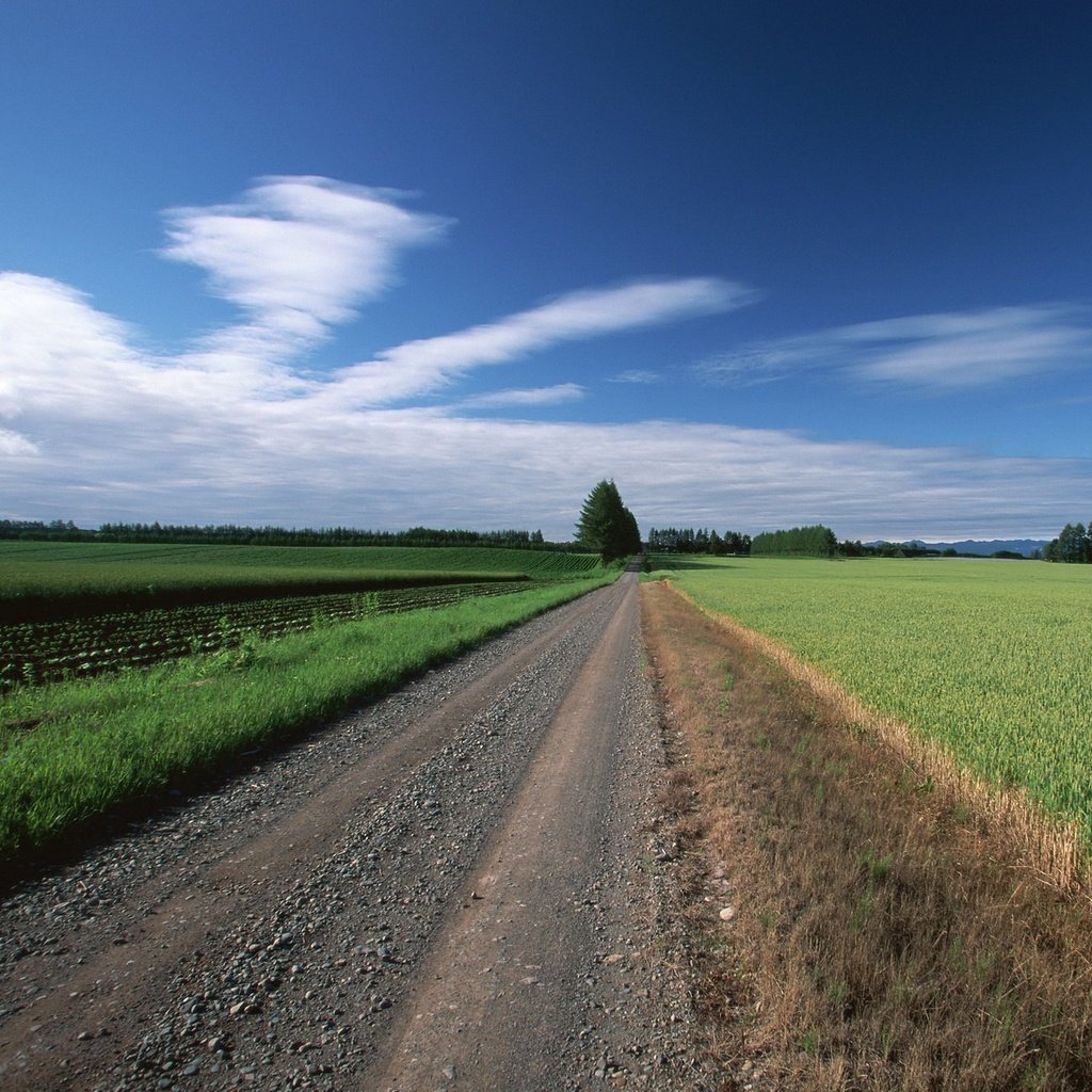 Обои дорога, облака, деревья, поле, road, clouds, trees, field разрешение 1920x1440 Загрузить