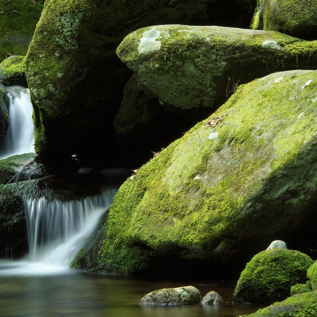 Обои природа, камни, водопад, мох, валуны, nature, stones, waterfall, moss, boulders разрешение 1920x1200 Загрузить