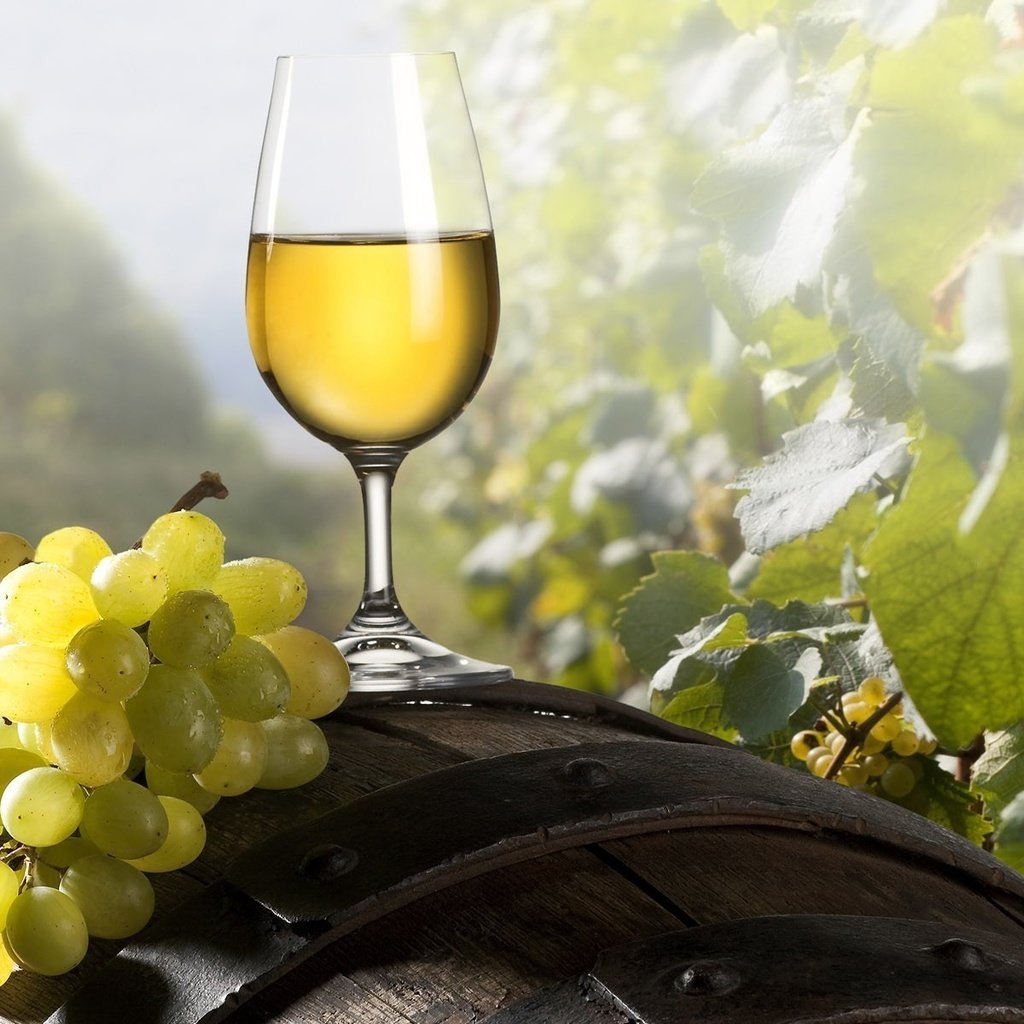 Обои виноград, бокал, вино, кисть, бочка, grapes, glass, wine, brush, barrel разрешение 1920x1200 Загрузить