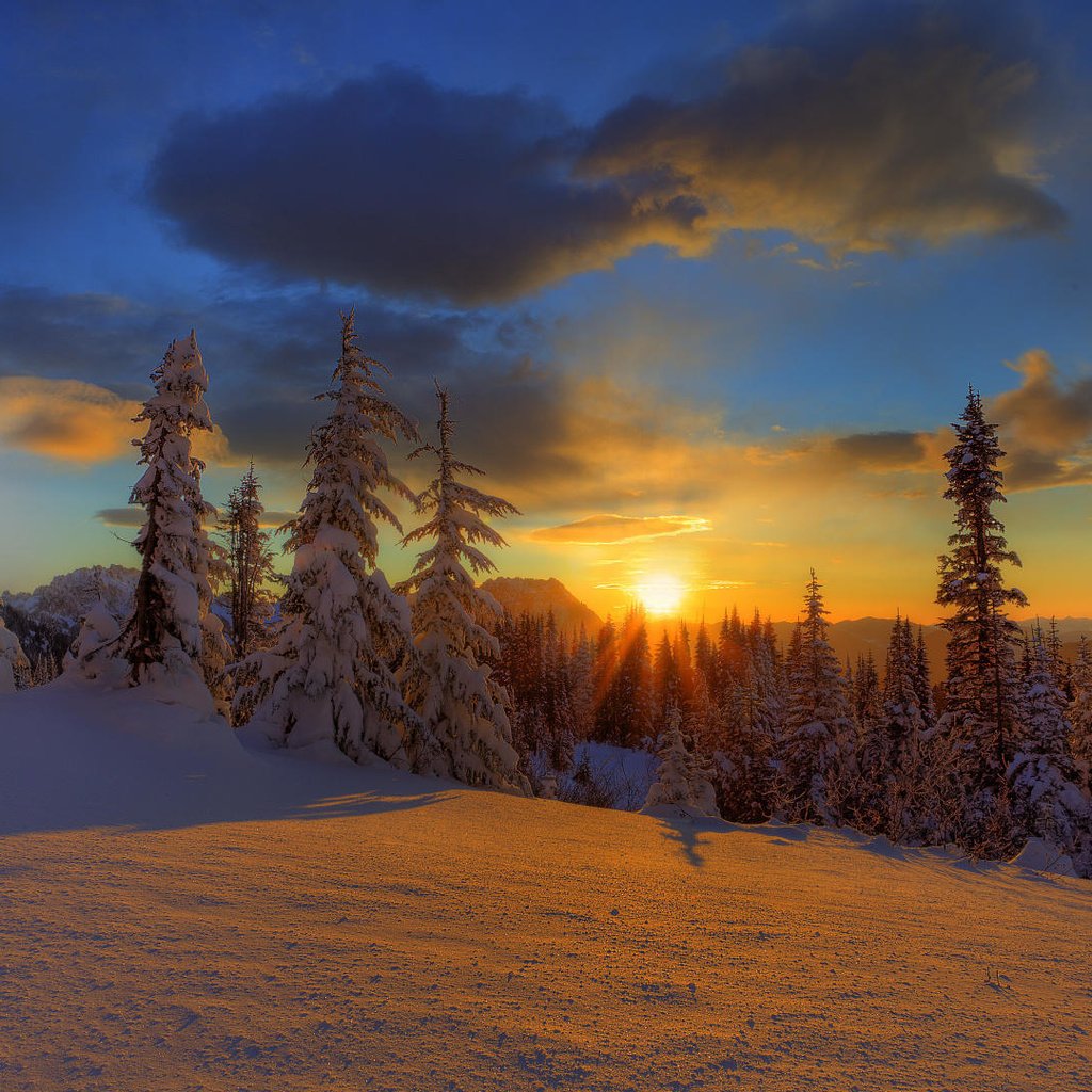 Обои небо, елки, облака, снег, природа, лес, закат, зима, красота, the sky, tree, clouds, snow, nature, forest, sunset, winter, beauty разрешение 1920x1080 Загрузить