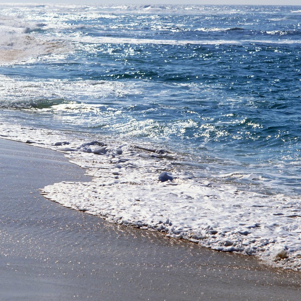 Обои волны, пляж, побережье, прибой, wave, beach, coast, surf разрешение 1920x1200 Загрузить