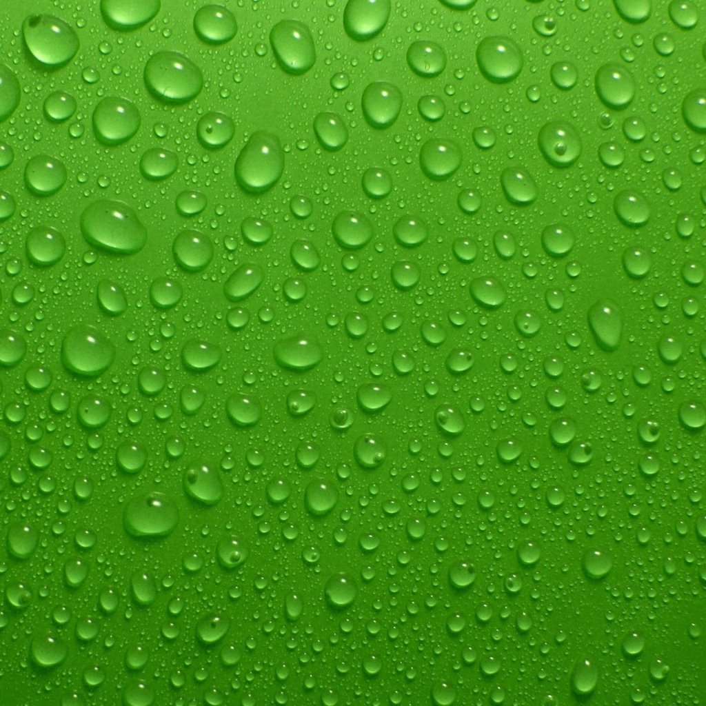 Обои зелёный, фон, капли, капли воды, green, background, drops, water drops разрешение 1920x1200 Загрузить